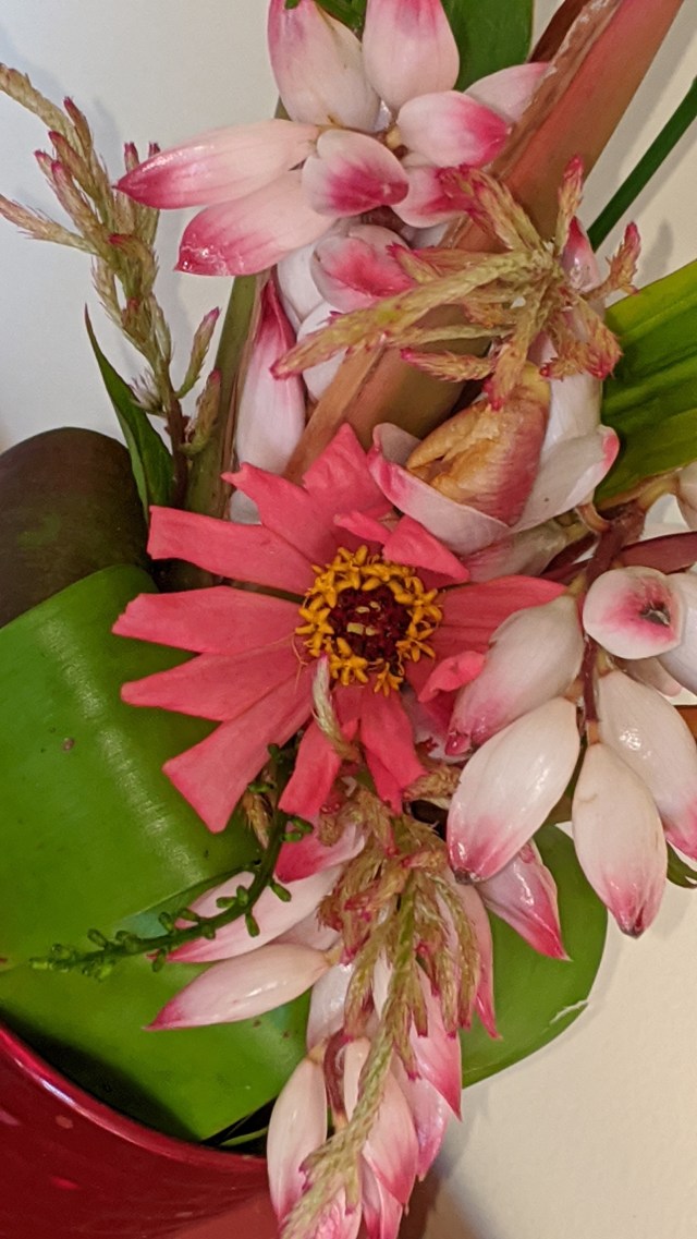 00000img_00000_burst20200202153105068_cover