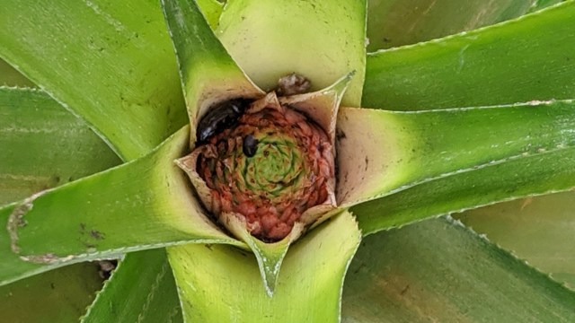 00000img_00000_burst20200215103744050_cover