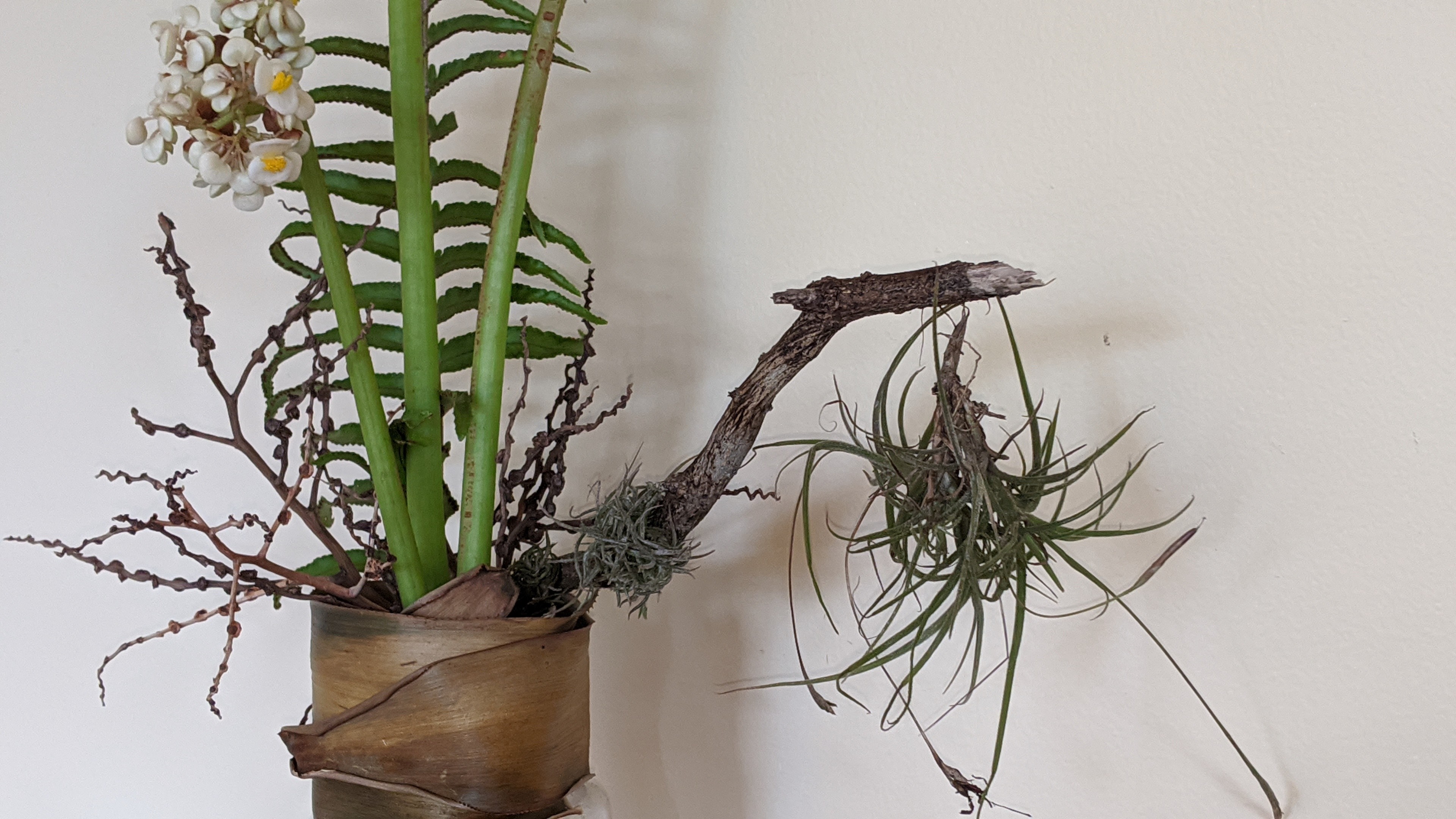 00000img_00000_burst20200223123209631_cover