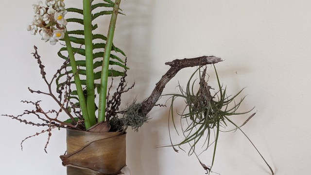 00000img_00000_burst20200223123209631_cover