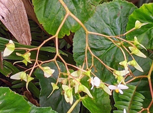 00100lrportrait_00100_burst20200131153951475_cover