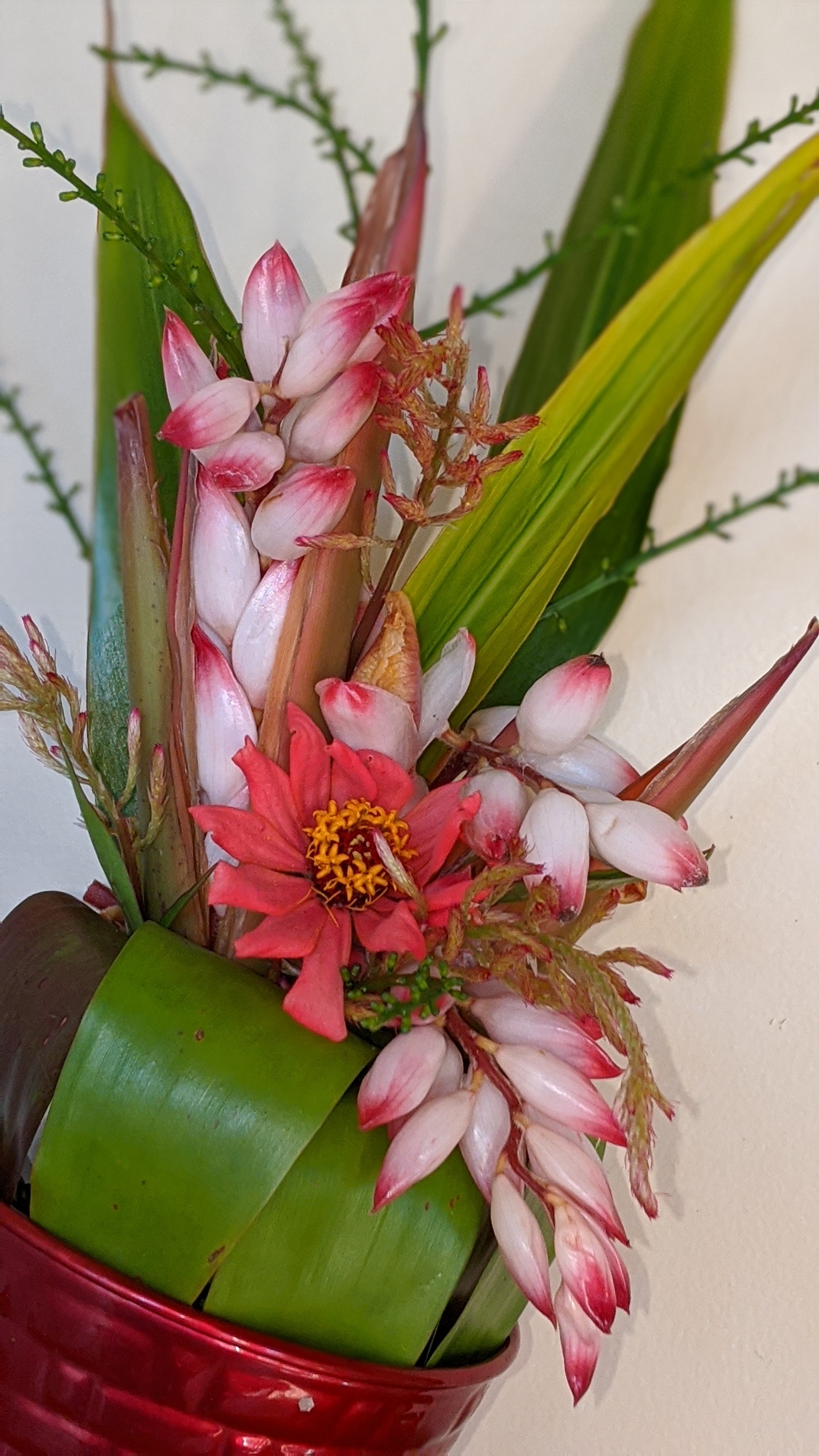 00100lrportrait_00100_burst20200202152805395_cover