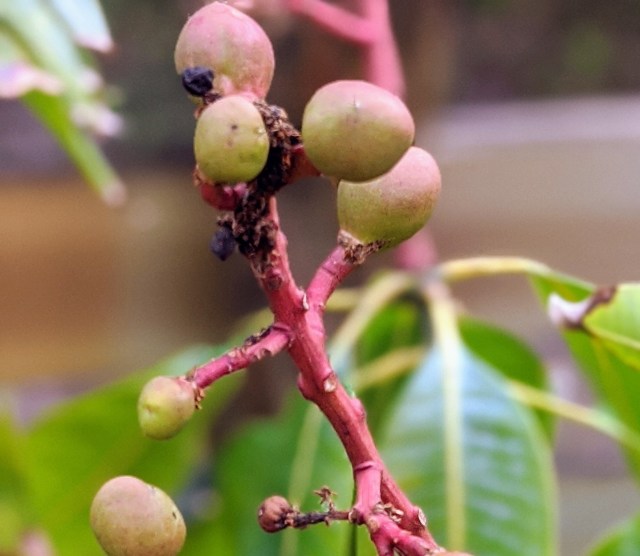 00100lrportrait_00100_burst20200215103506790_cover