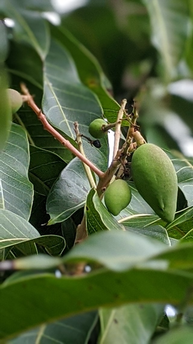 00100lrportrait_00100_burst20200215103706773_cover