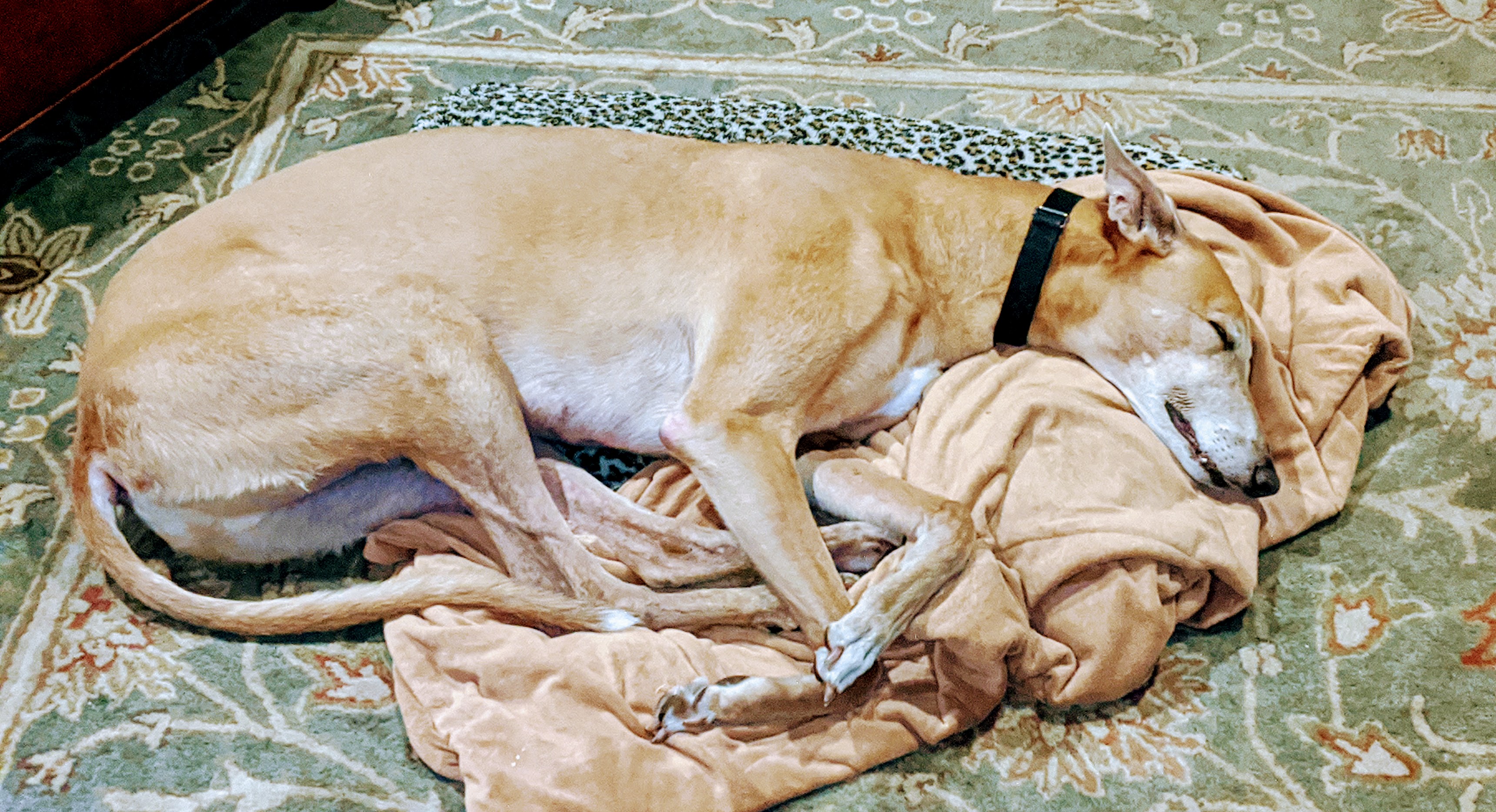 00000img_00000_burst20200306194801712_cover