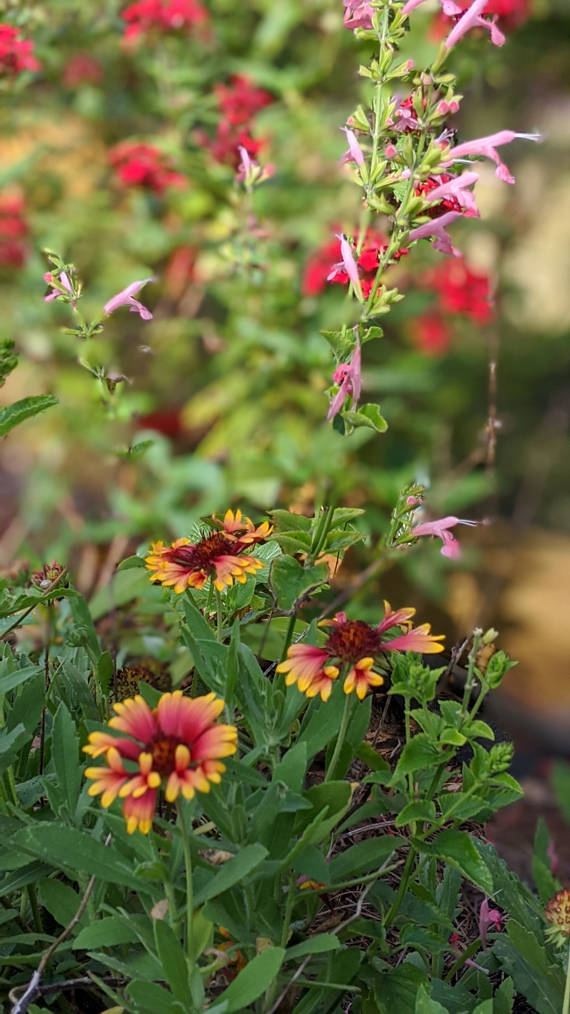 00100lrportrait_00100_burst20200306151547762_cover