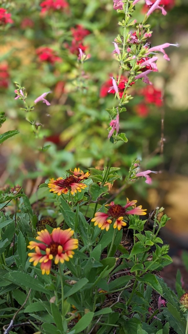 00100lrportrait_00100_burst20200306151547762_cover