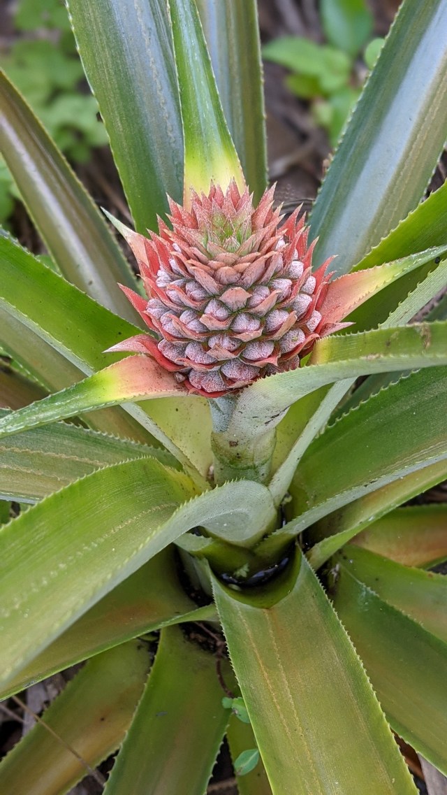 00100lrportrait_00100_burst20200306151708636_cover