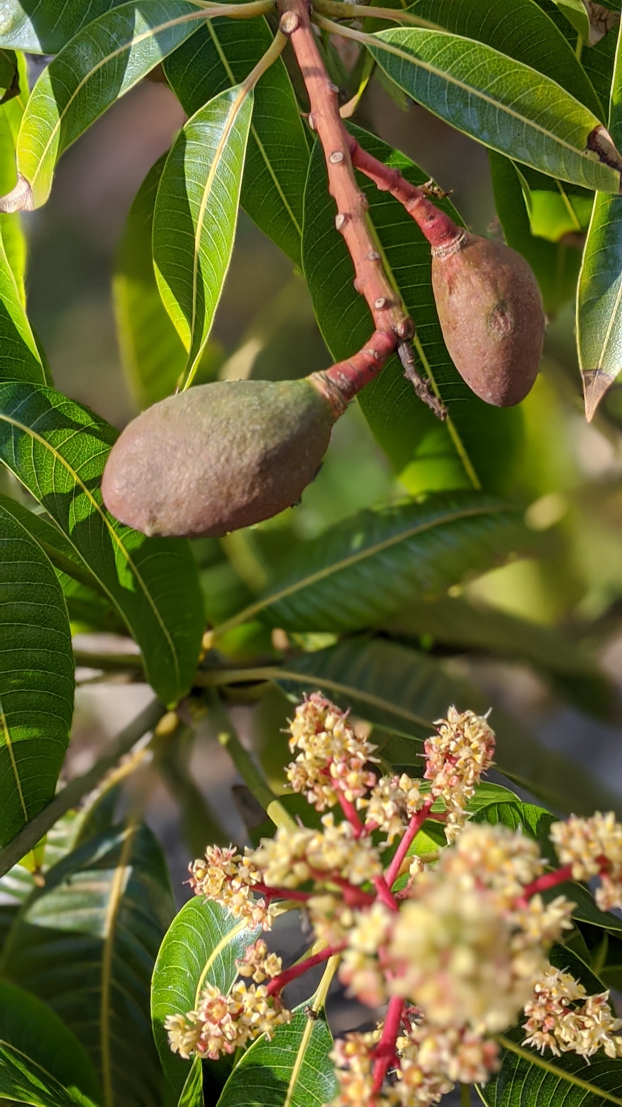 00100lrportrait_00100_burst20200306151746378_cover