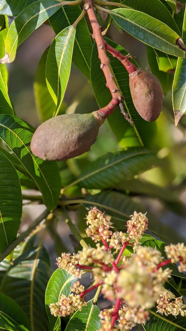 00100lrportrait_00100_burst20200306151746378_cover