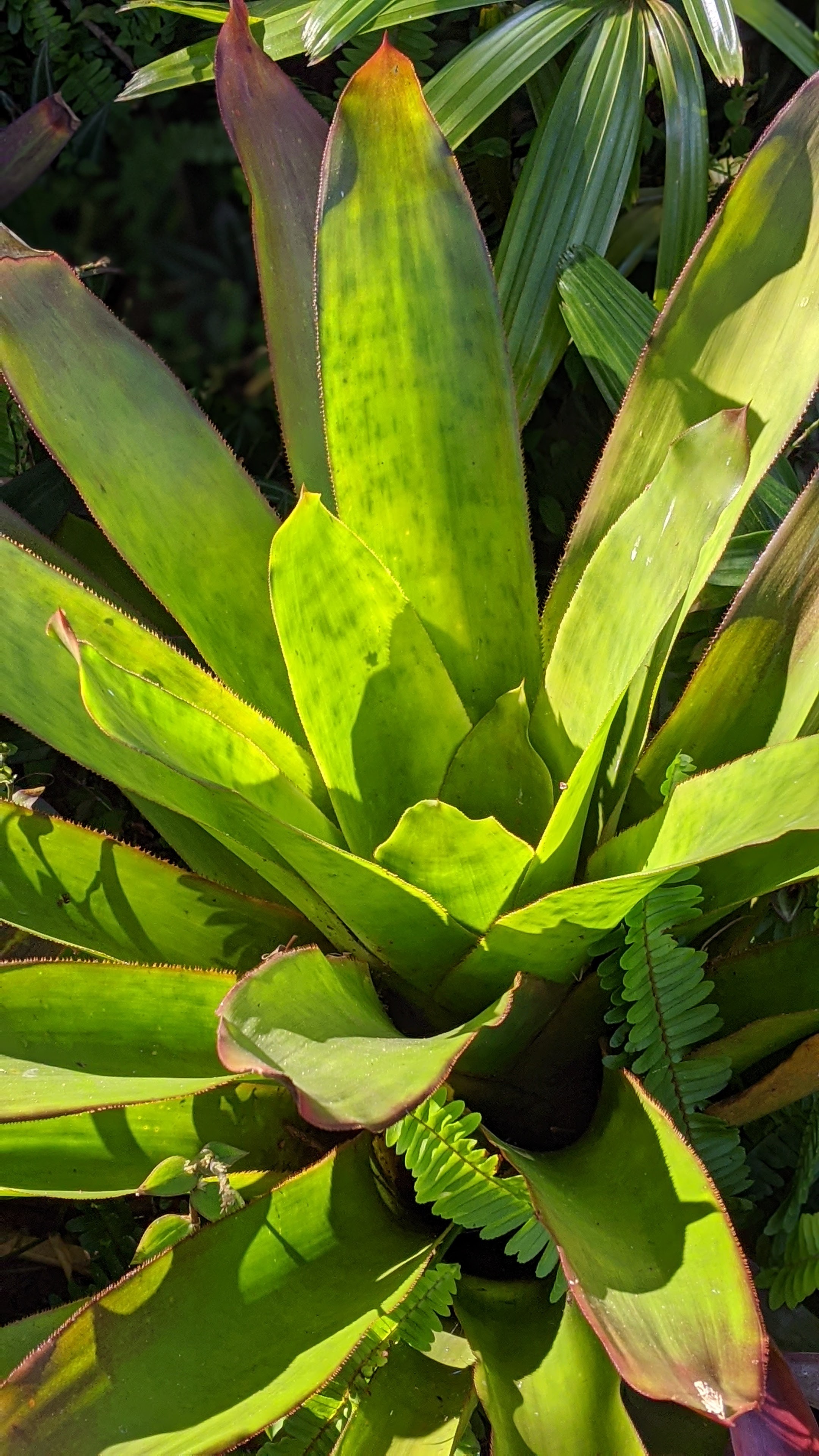 00100lrportrait_00100_burst20200306151859346_cover