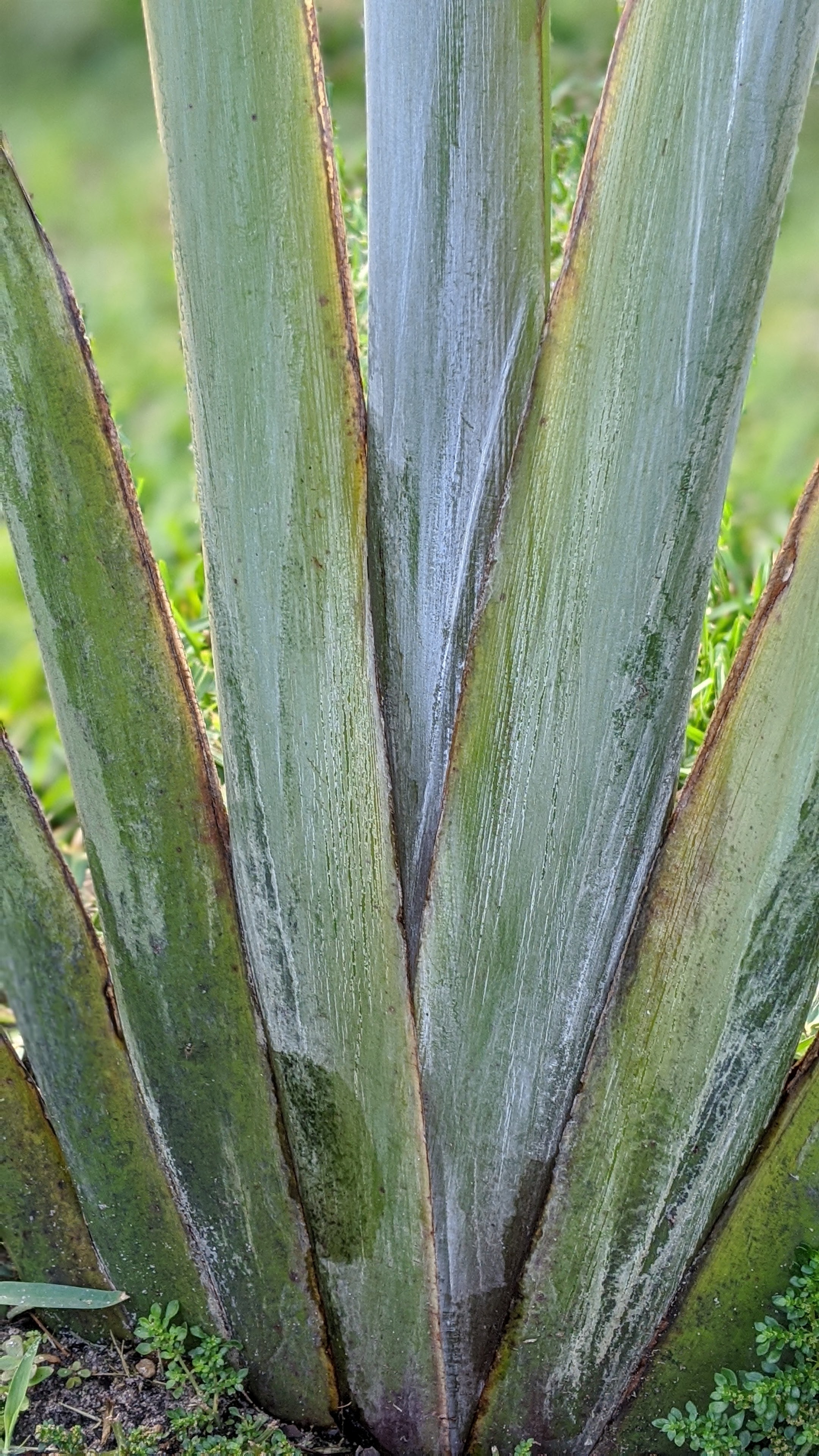 00100lrportrait_00100_burst20200314100927447_cover