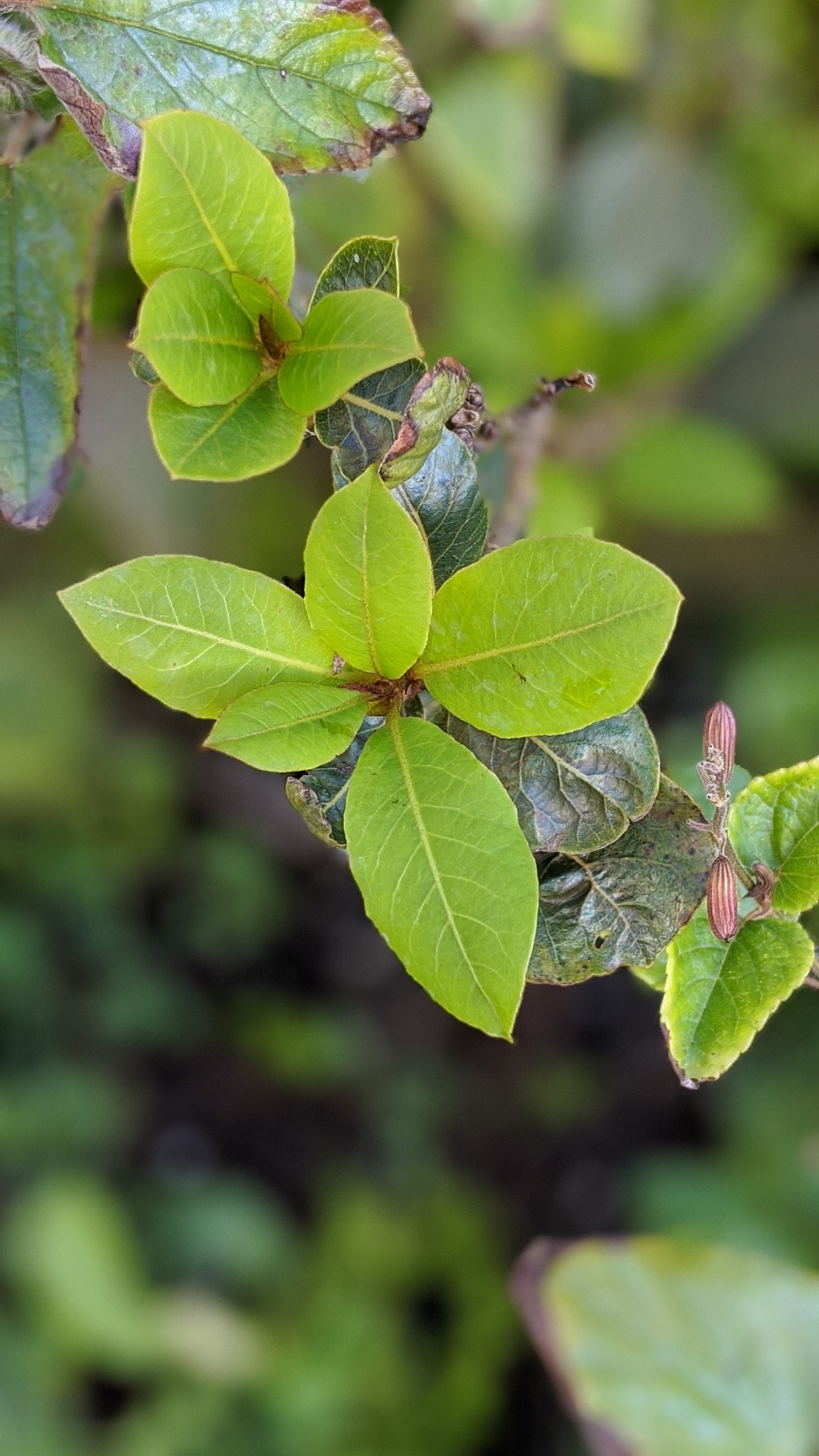 00100lrportrait_00100_burst20200321102012174_cover