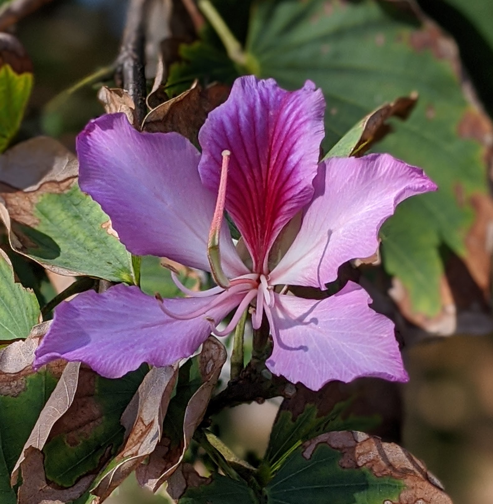 00100lrportrait_00100_burst20200328091950889_cover