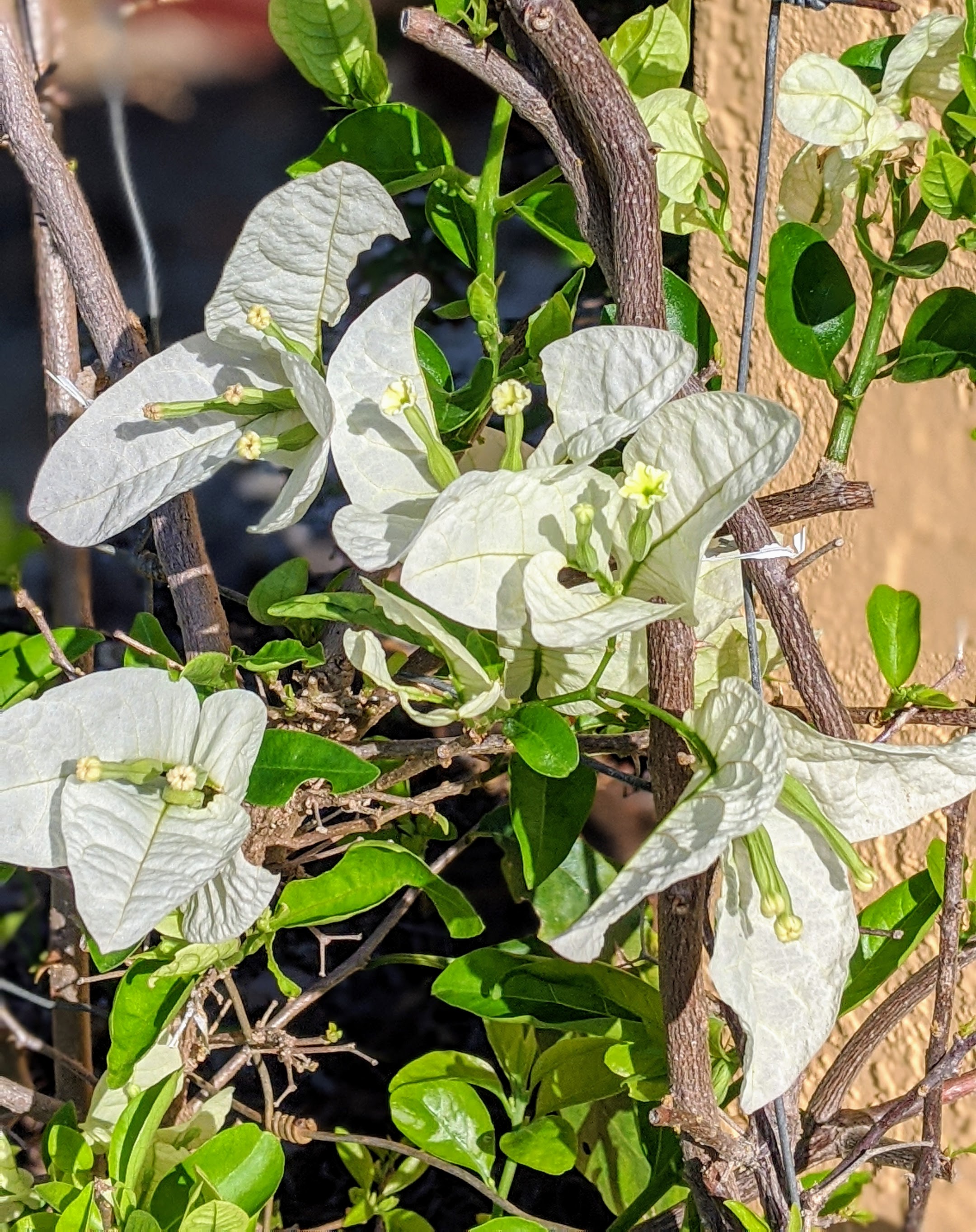 00100lrportrait_00100_burst20200328092038009_cover