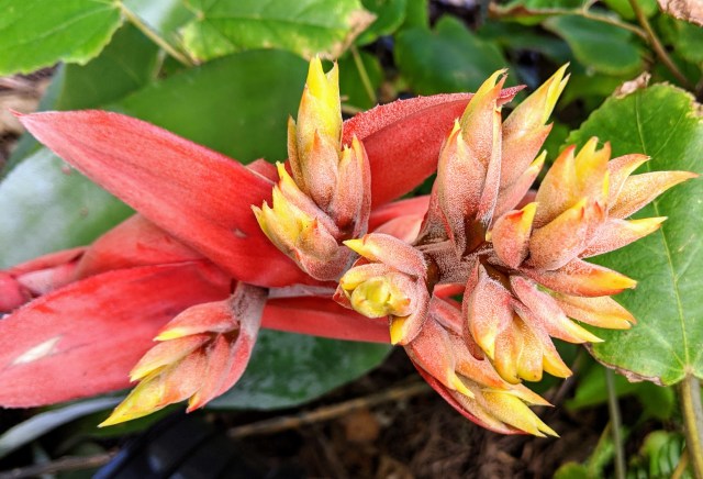 img_20200314_101409-1