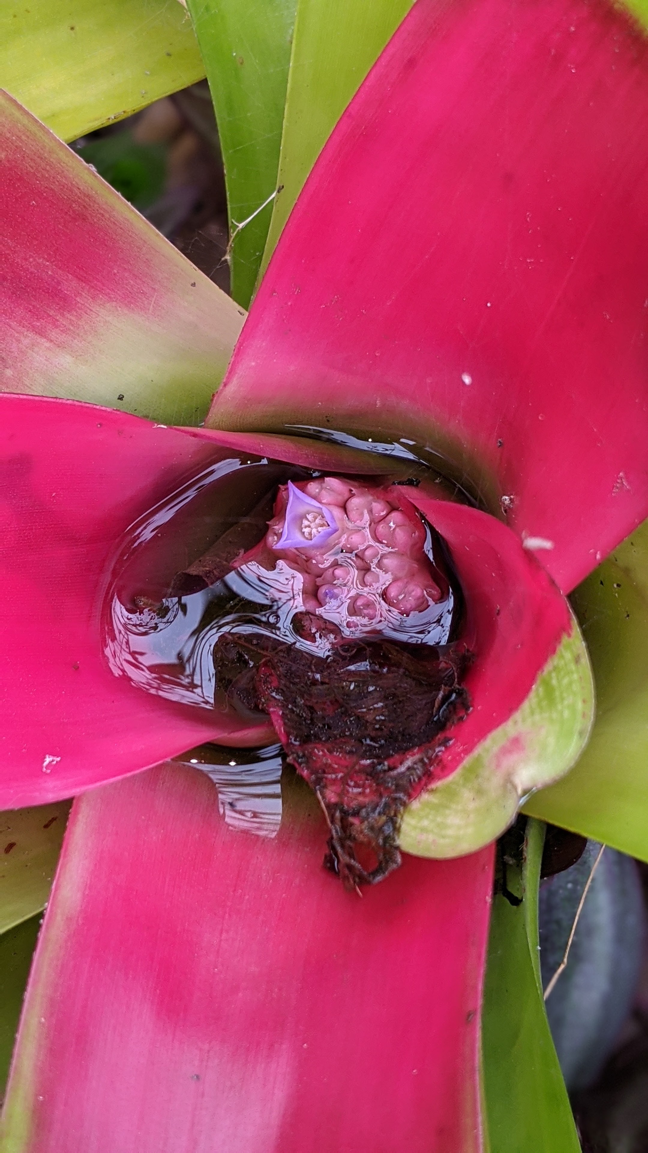 00100lrportrait_00100_burst20200411092231332_cover