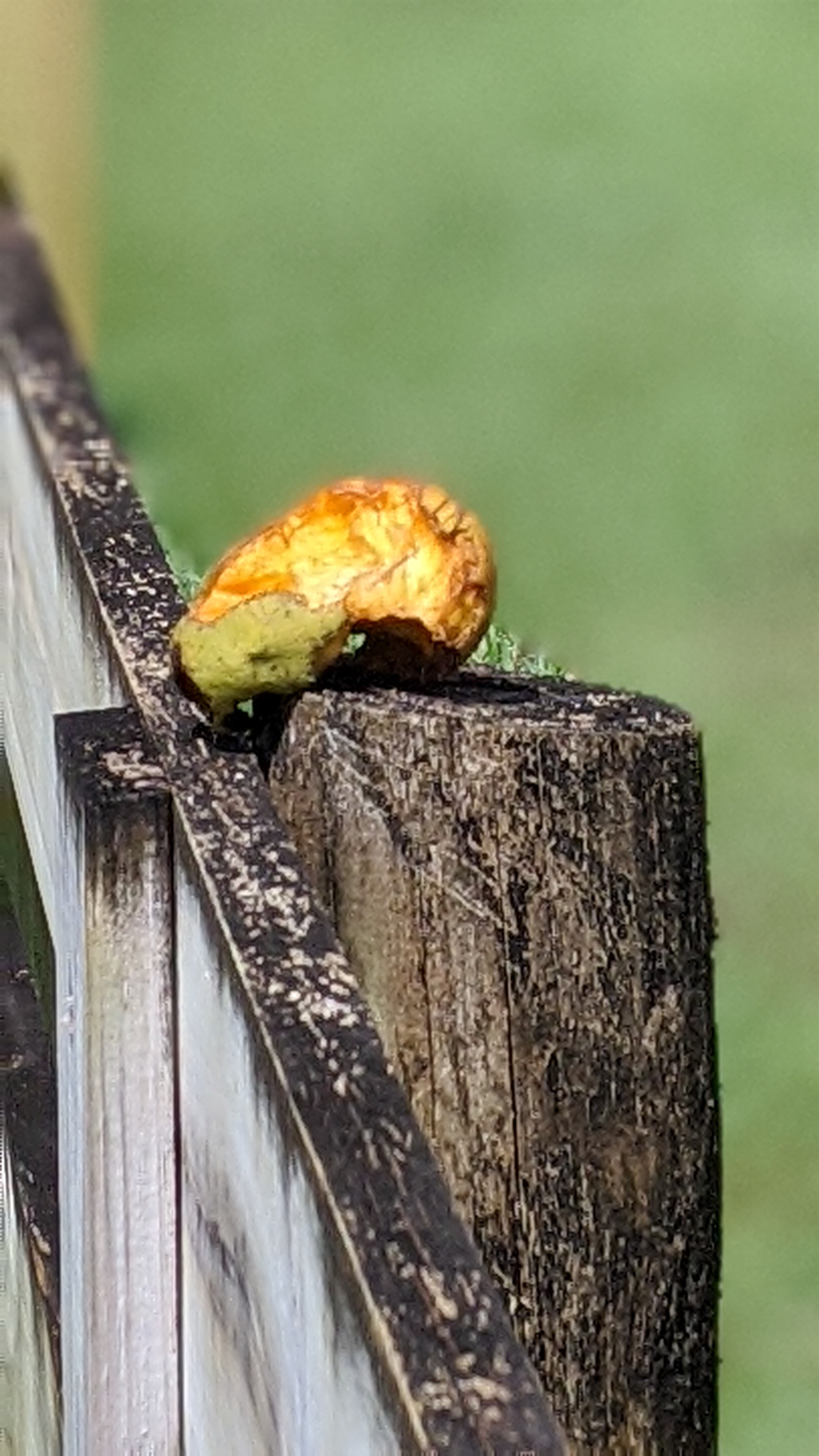 00100lrportrait_00100_burst20200415111651130_cover