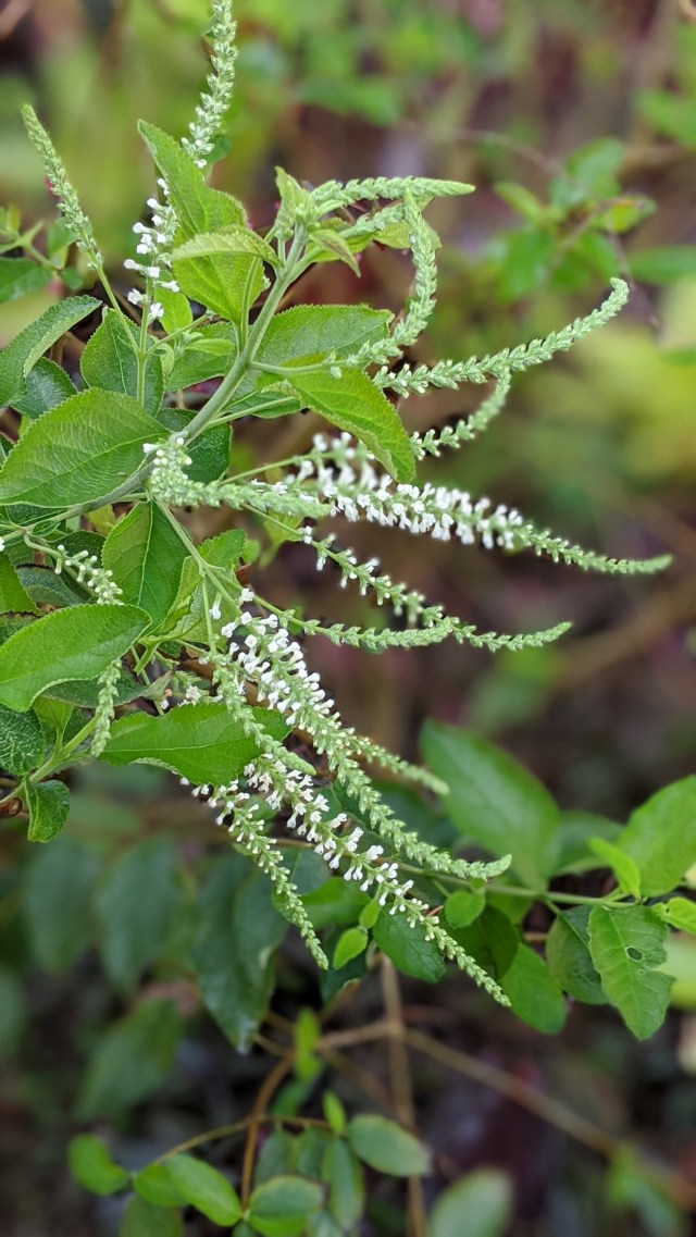 00100lrportrait_00100_burst20200418092602510_cover