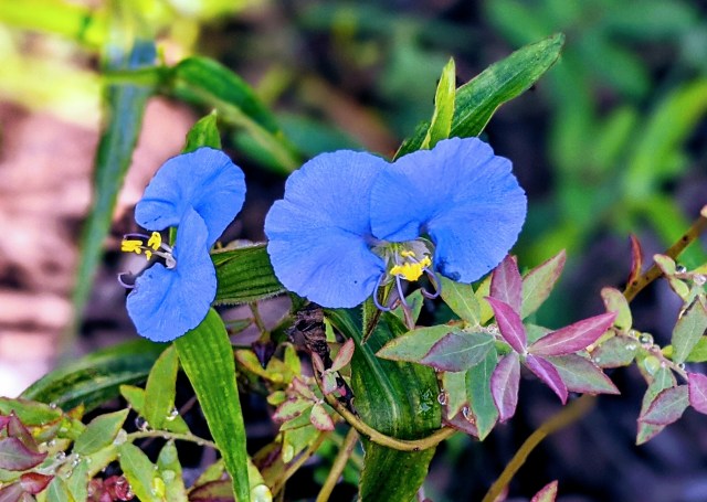 00100lrportrait_00100_burst20200418092646124_cover