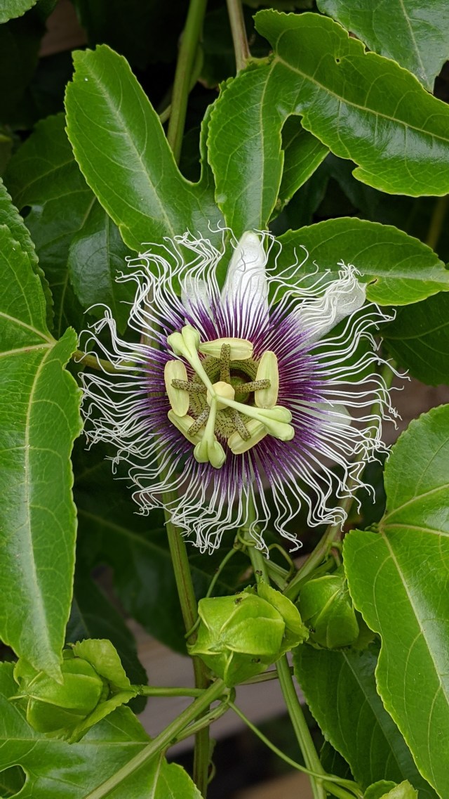 00100lrportrait_00100_burst20200420143211172_cover