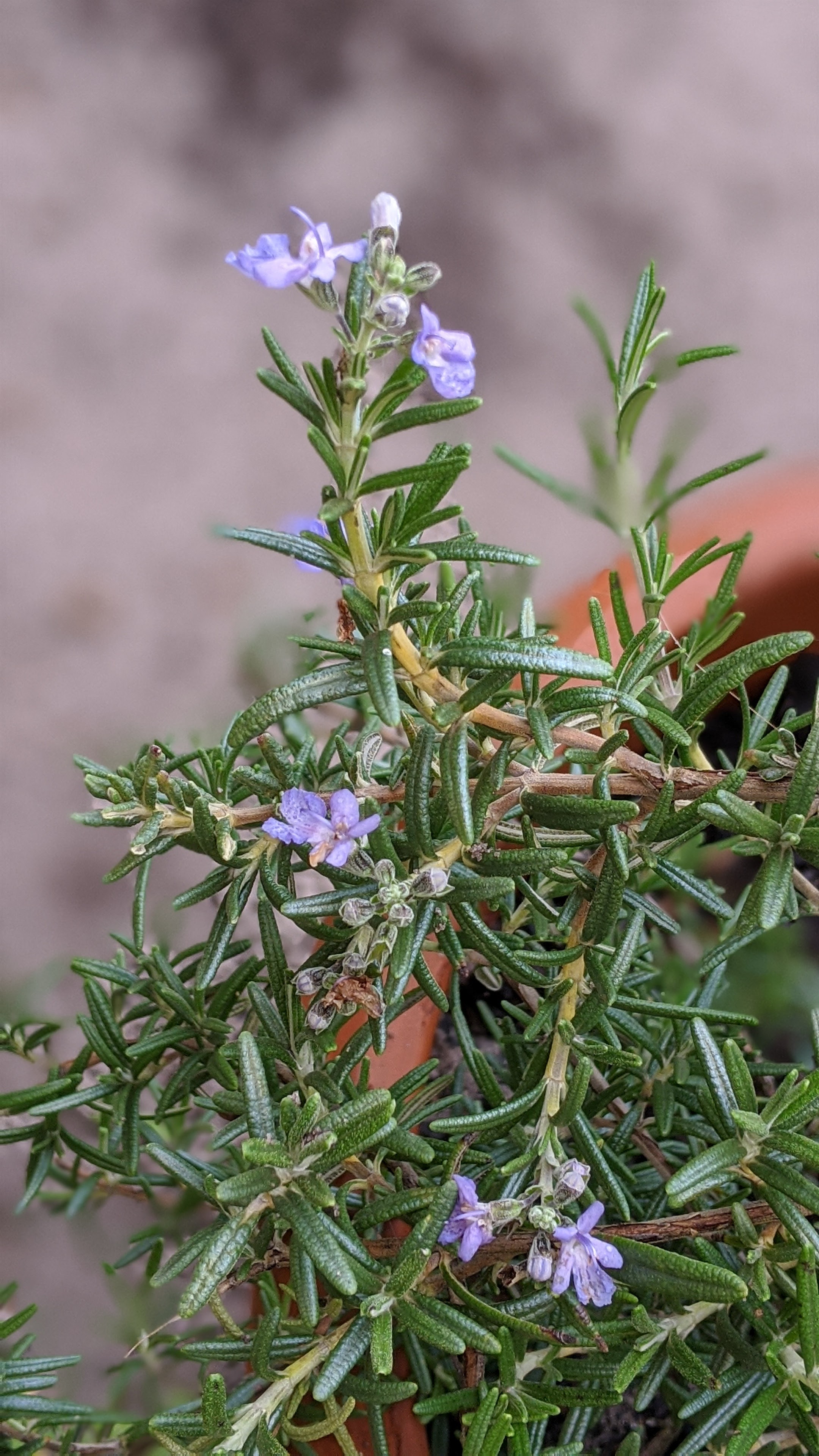 00100lrportrait_00100_burst20200425092012453_cover