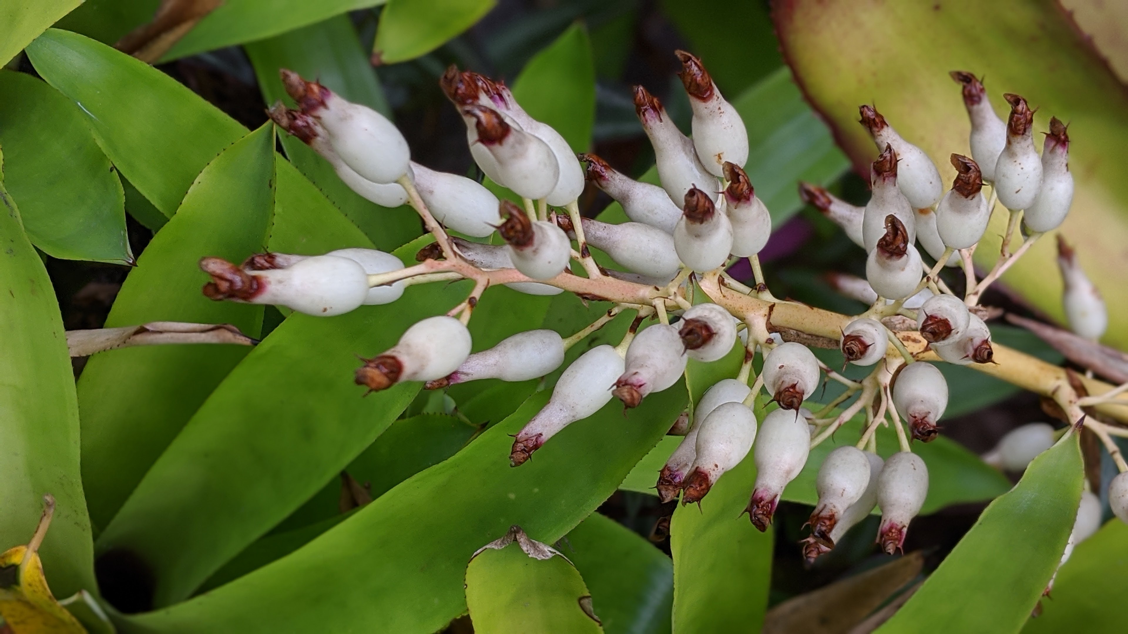 00100lrportrait_00100_burst20200425103425818_cover