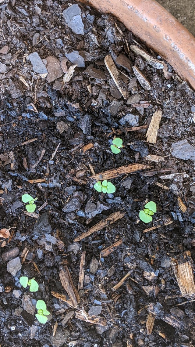 00000img_00000_burst20200502094354115_cover