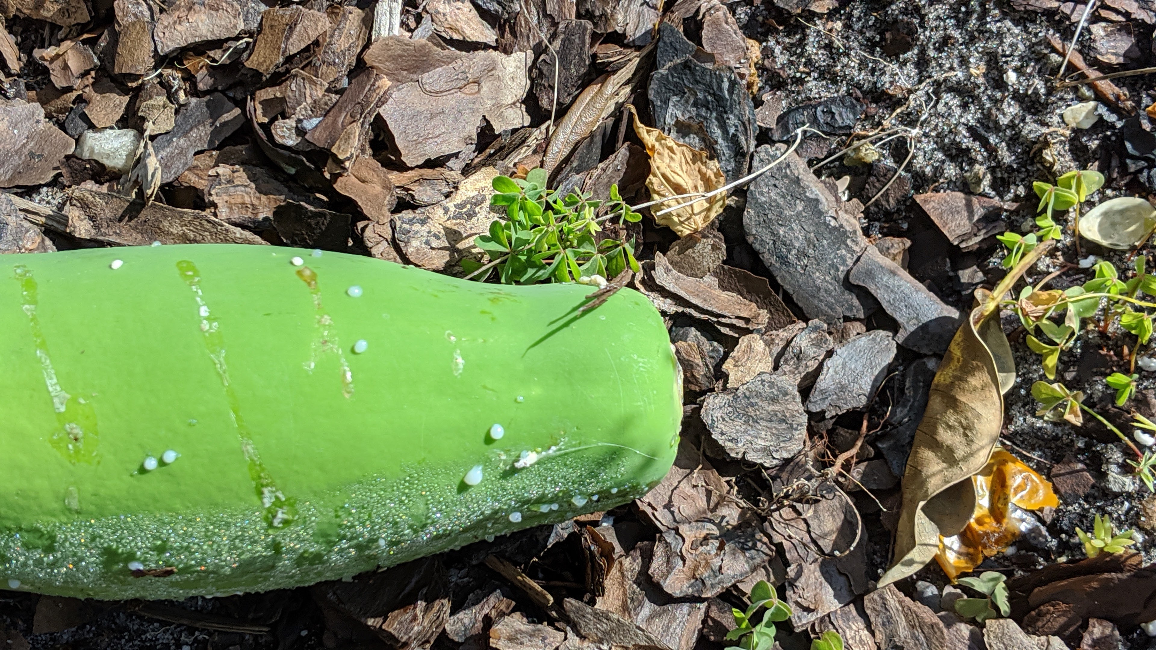 00000img_00000_burst20200509094451595_cover