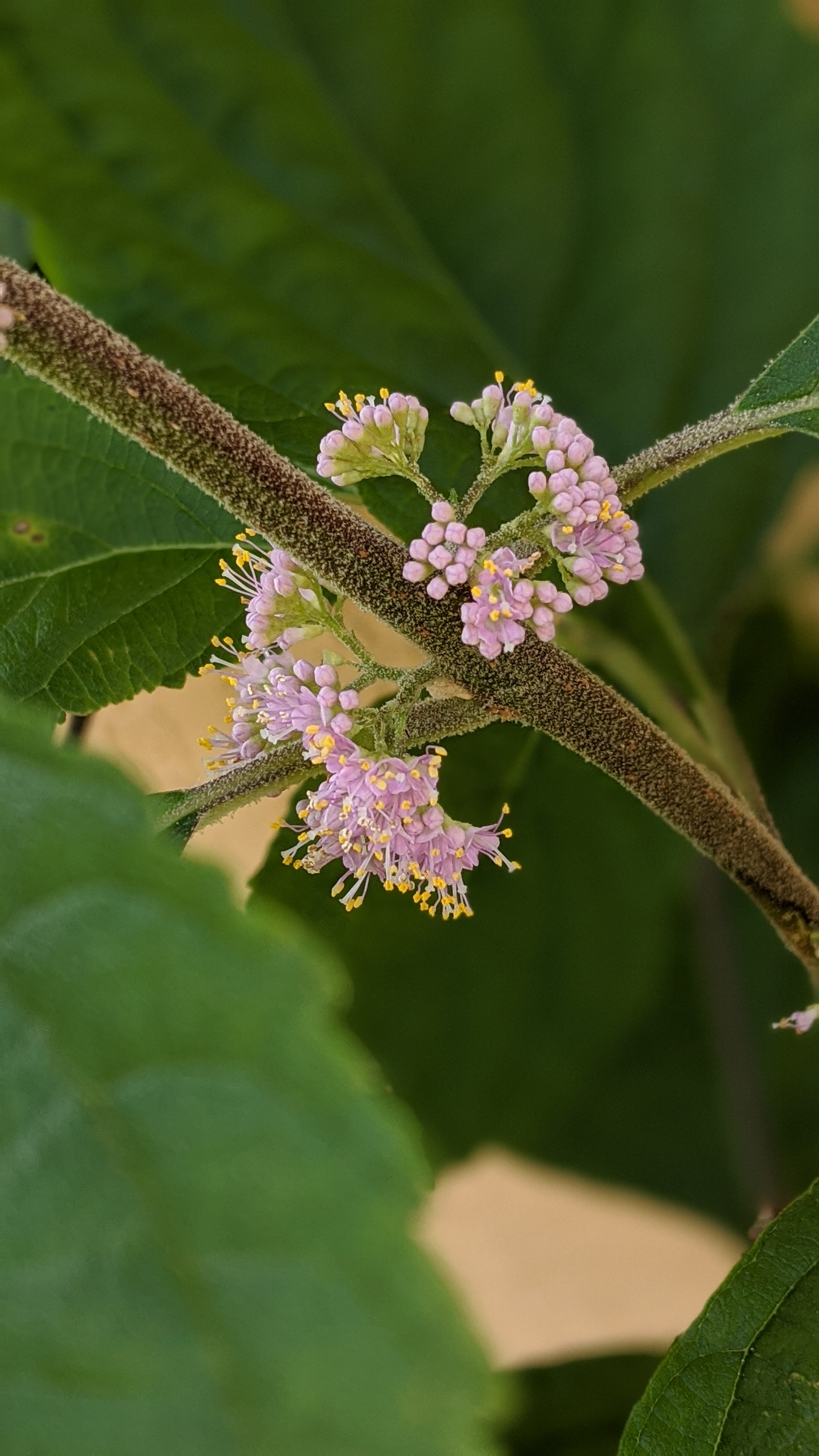 00100lrportrait_00100_burst20200502093631841_cover