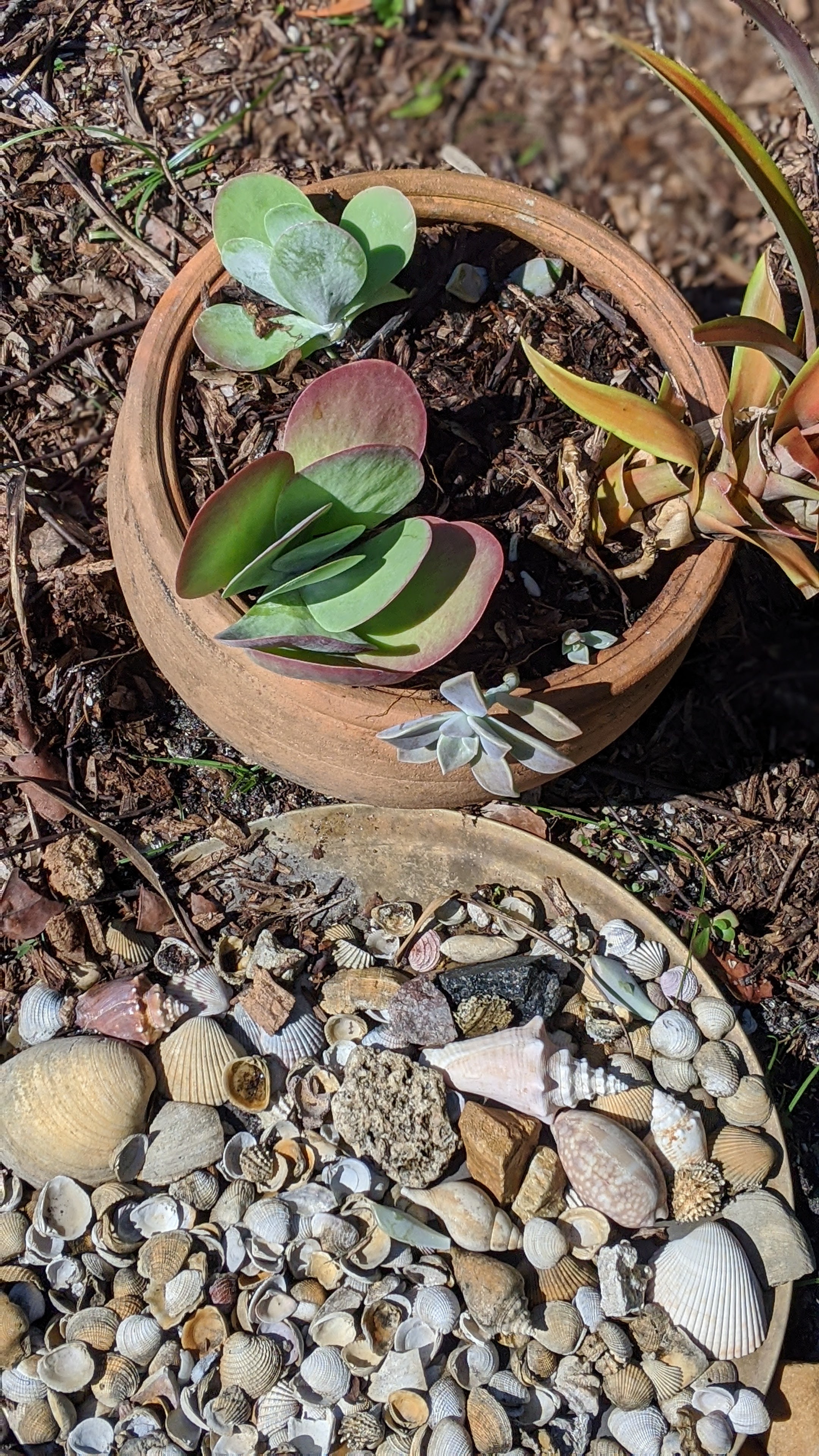 00100lrportrait_00100_burst20200502094637463_cover