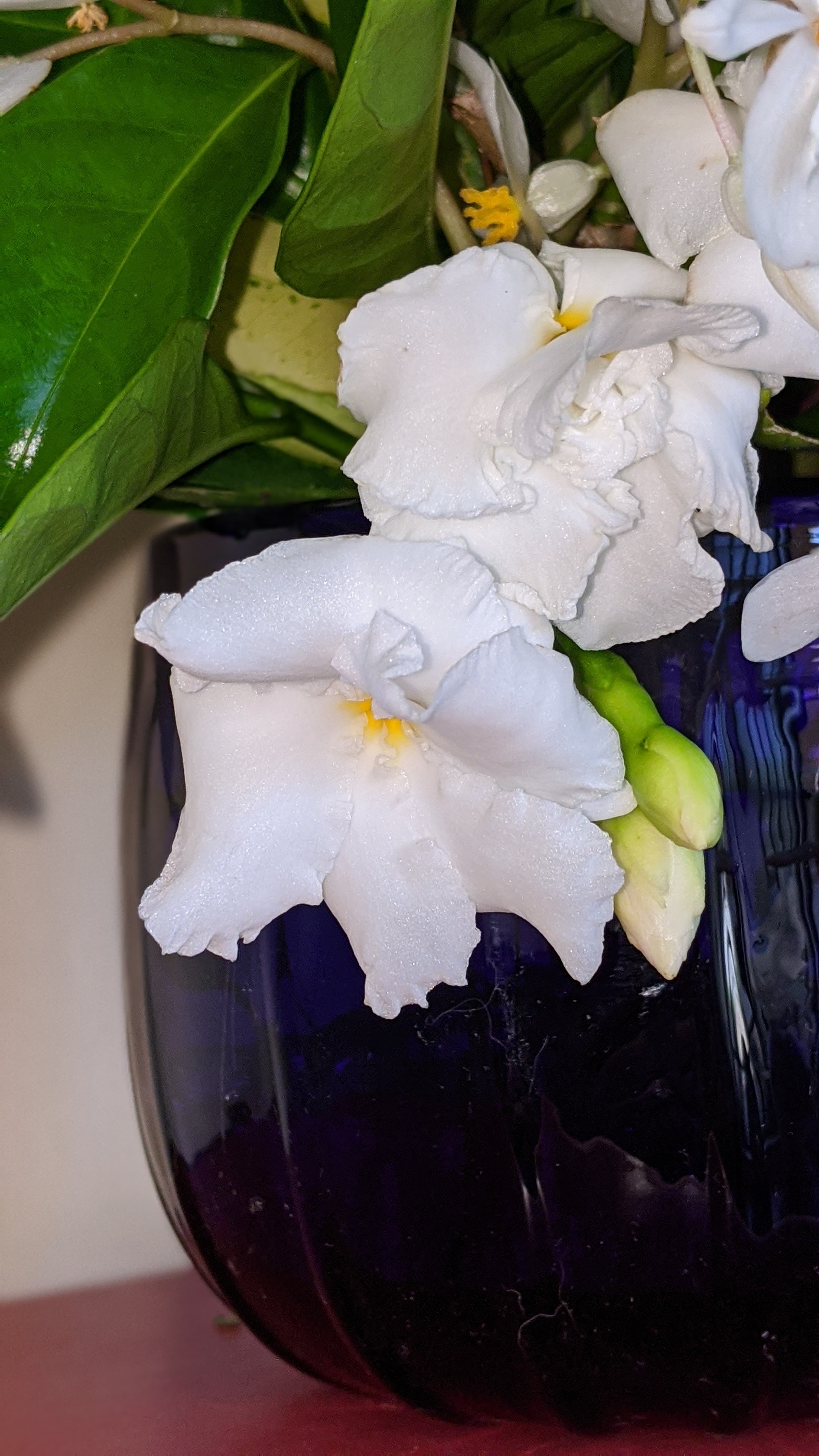 00100lrportrait_00100_burst20200503155553161_cover