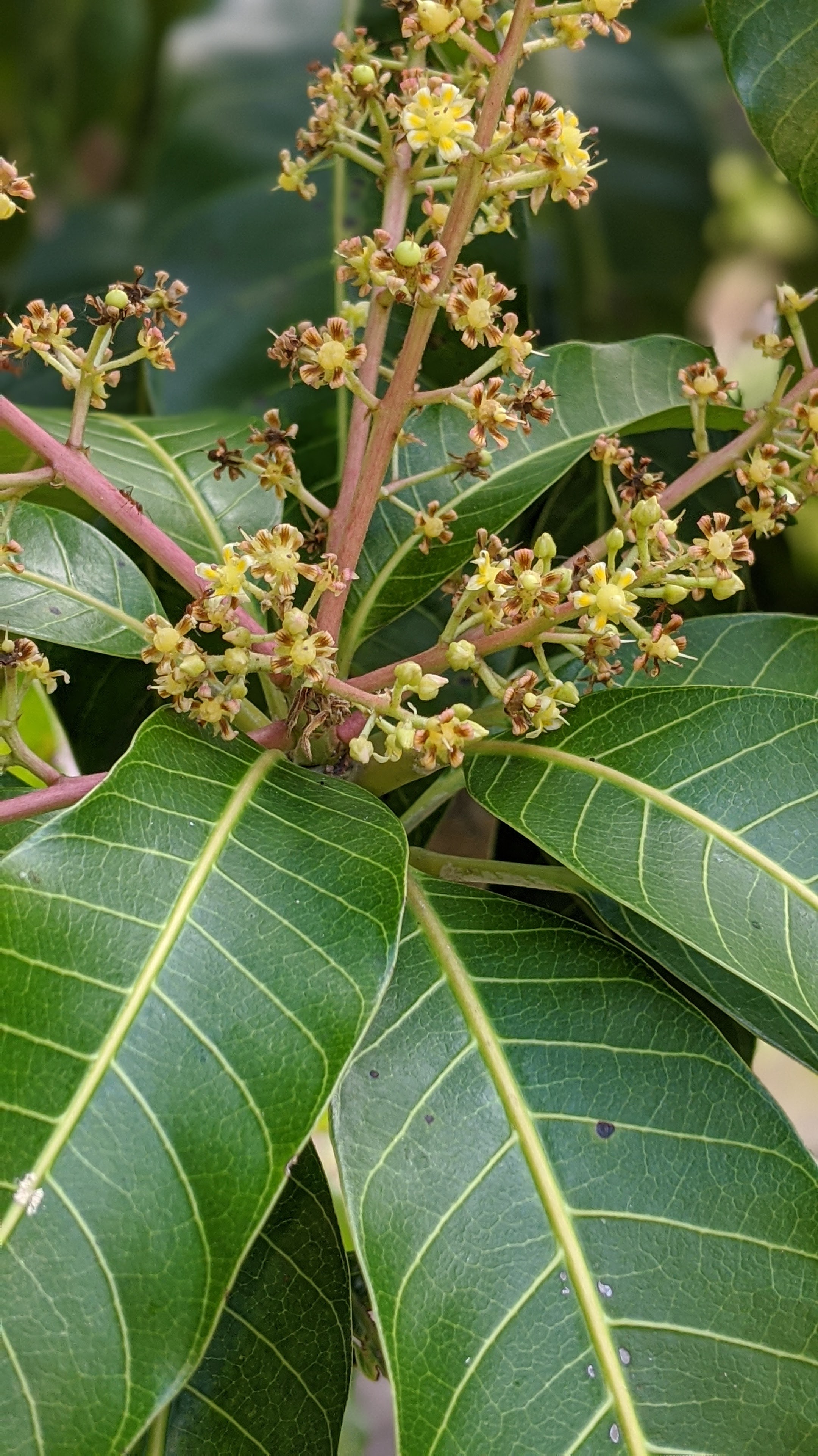 00100lrportrait_00100_burst20200509094313878_cover