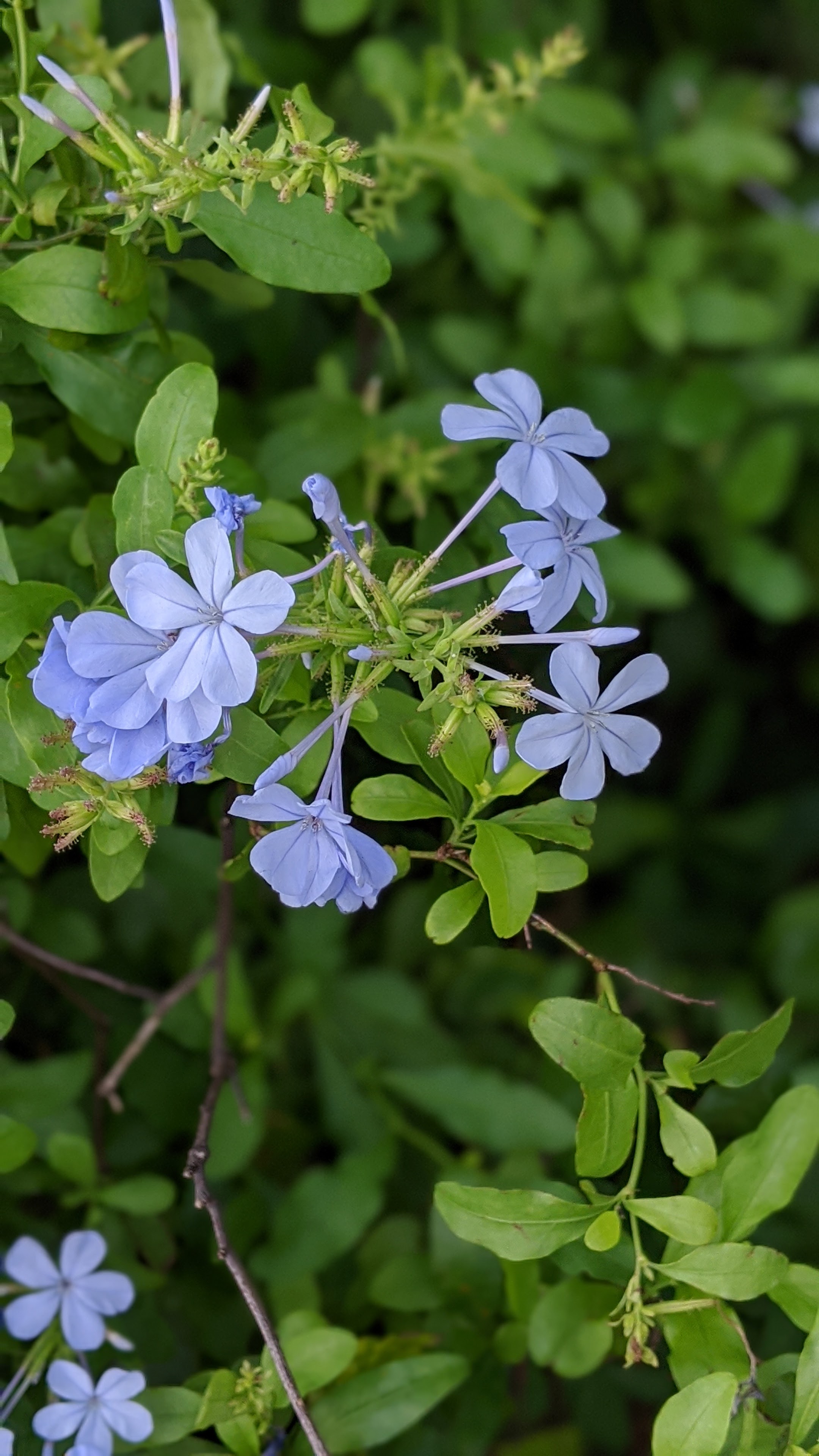 00100lrportrait_00100_burst20200509095713721_cover