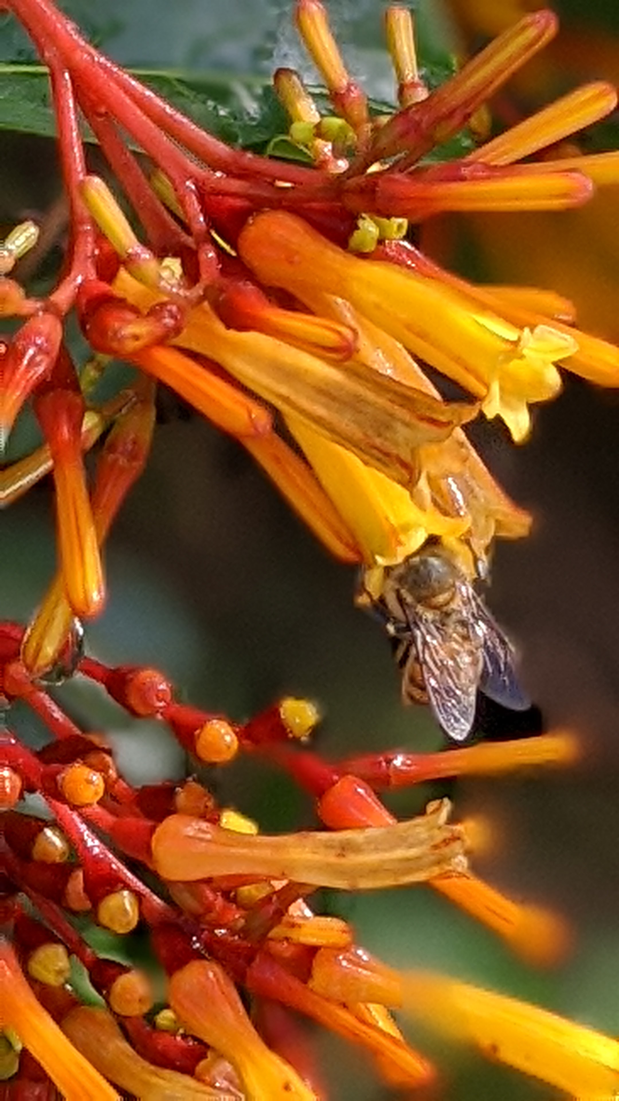 00100lrportrait_00100_burst20200516095022183_cover