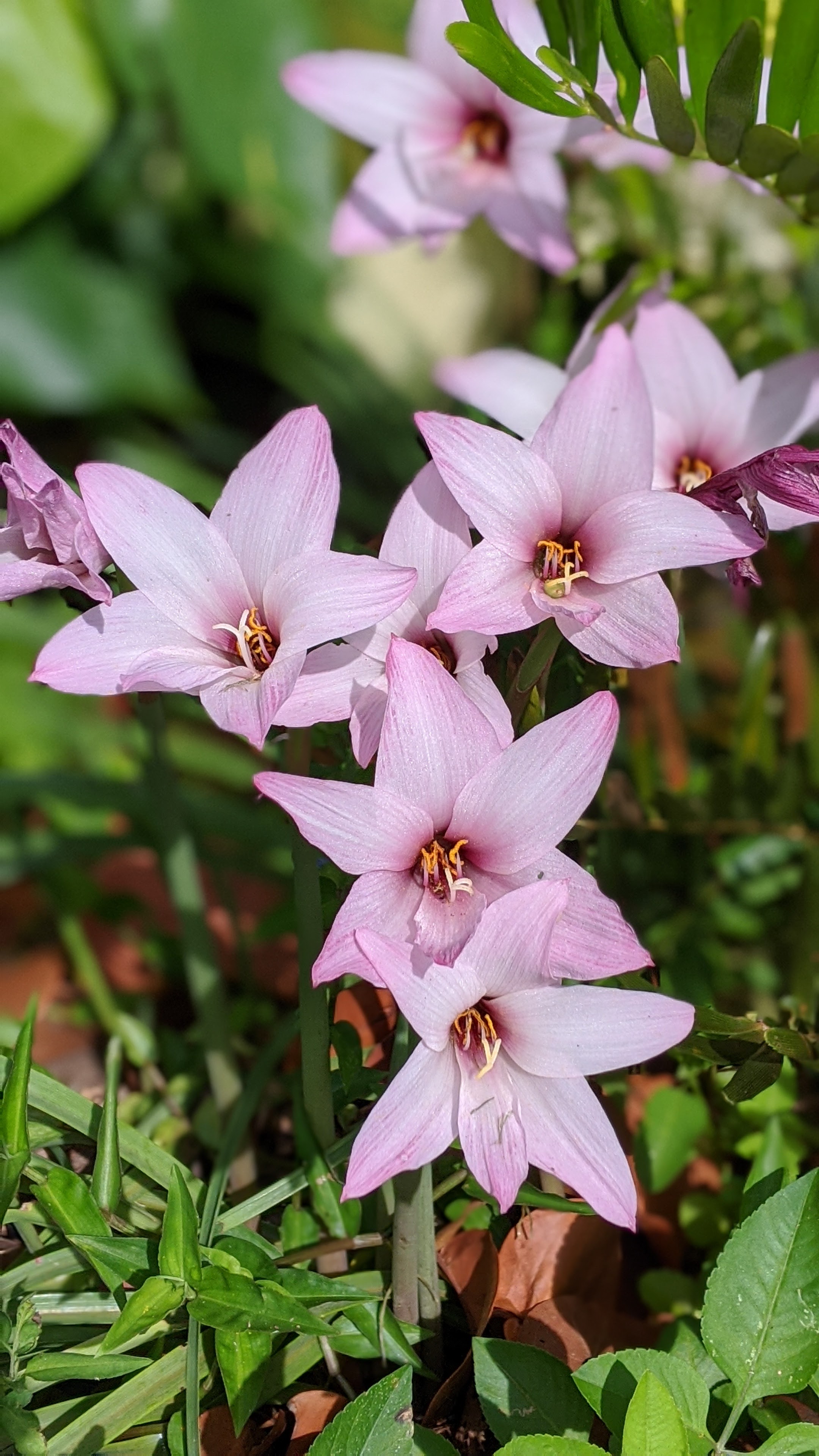 00100lrportrait_00100_burst20200530092408290_cover