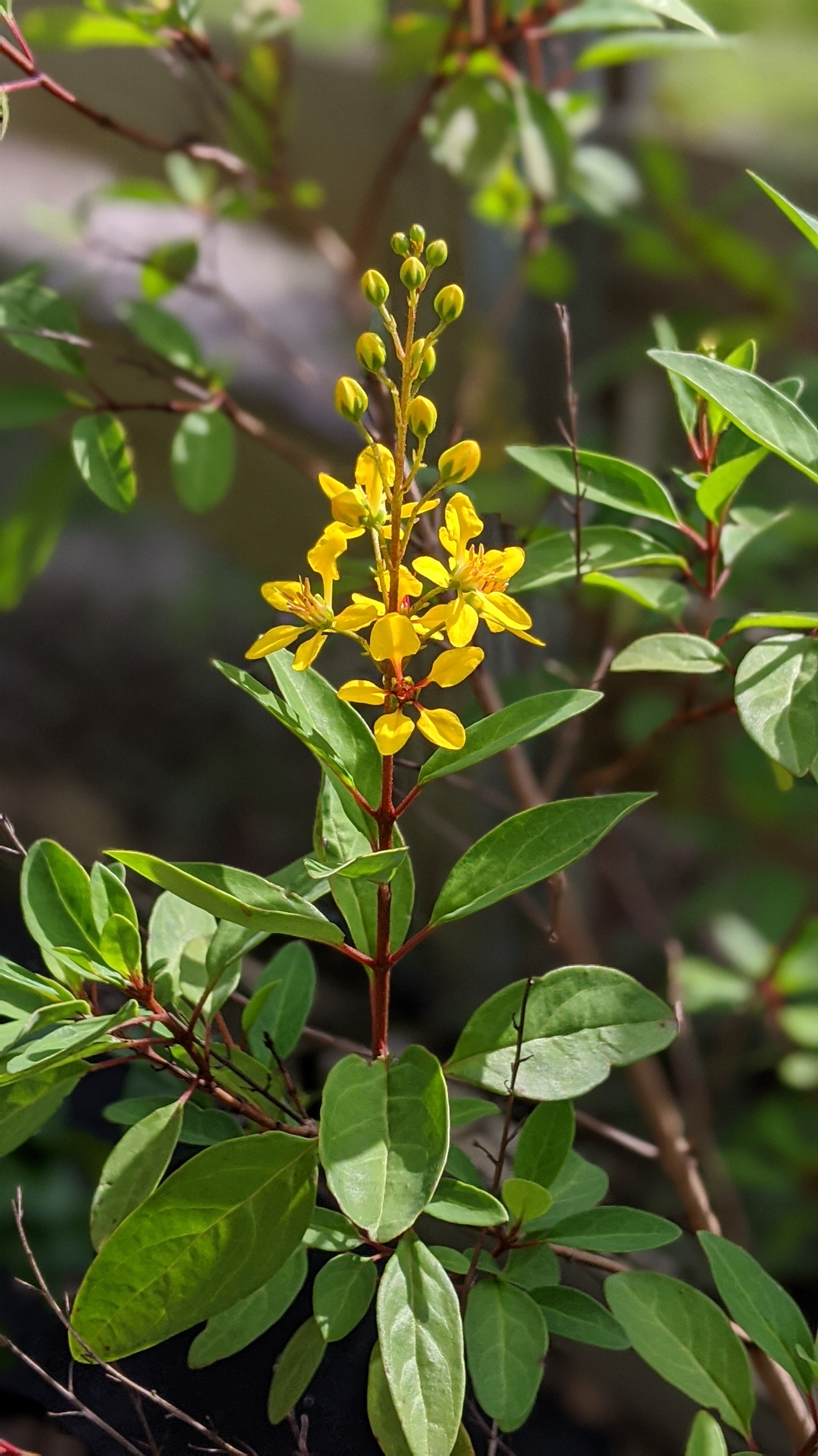 00100lrportrait_00100_burst20200530093342782_cover