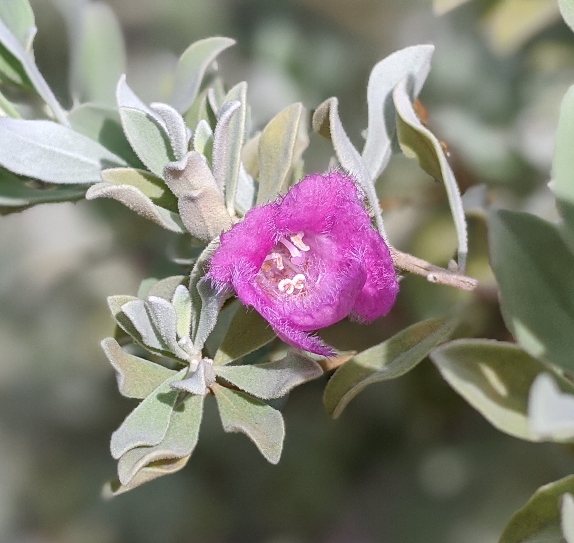 00100lrportrait_00100_burst20200530094321800_cover