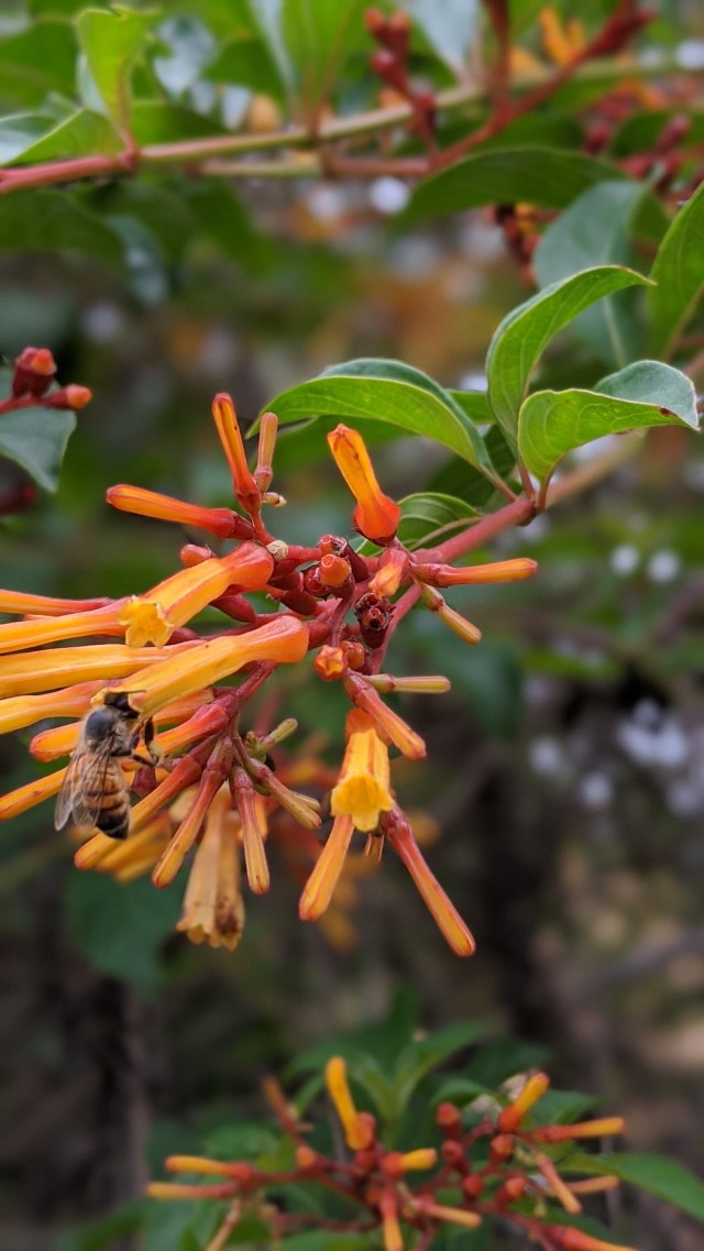 00100lrportrait_00100_burst20200604121654529_cover