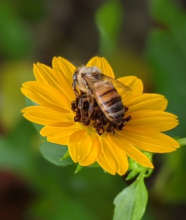 00100lrportrait_00100_burst20200605103349134_cover