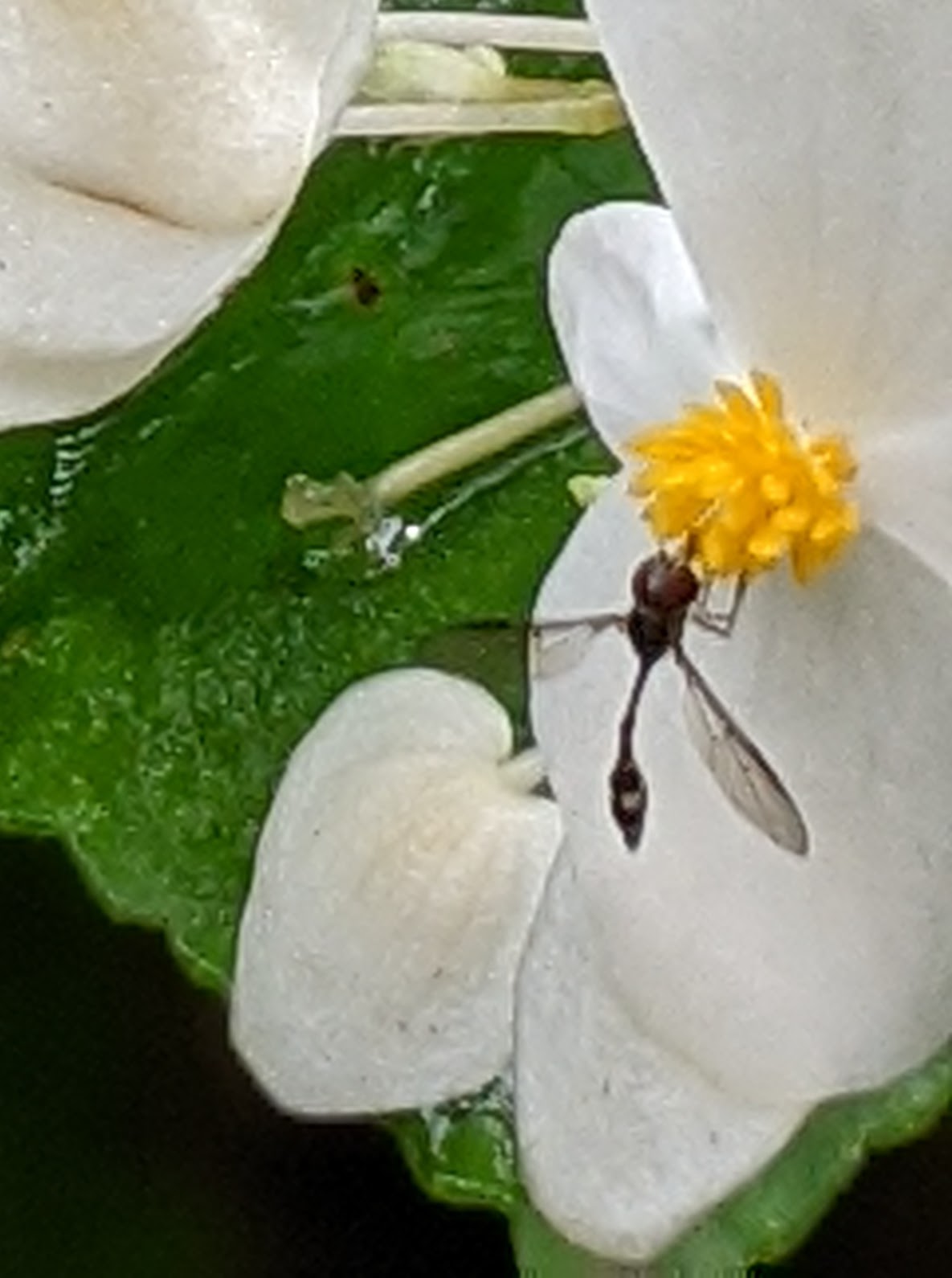 00100lrportrait_00100_burst20200605104026330_cover