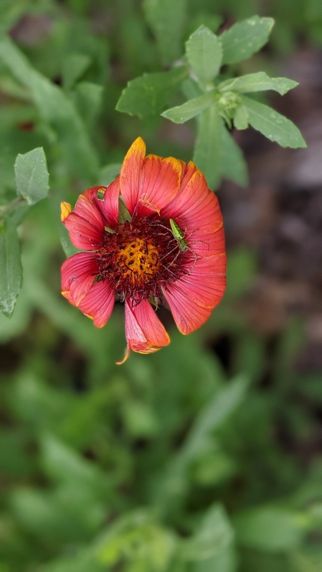 00100lrportrait_00100_burst20200605113320837_cover