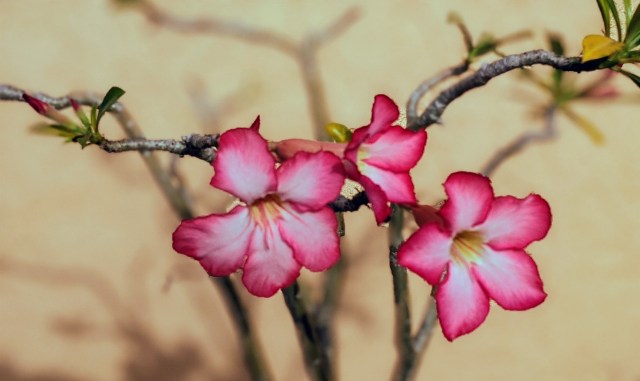 00100lrportrait_00100_burst20200627075054118_cover