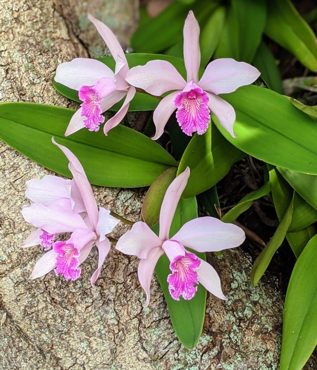 00100lrportrait_00100_burst20200627075417235_cover