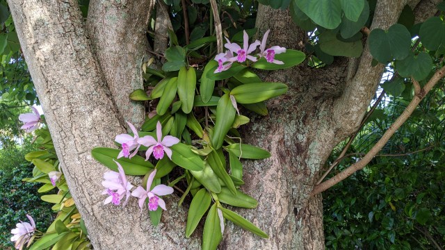 img_20200627_075428_1