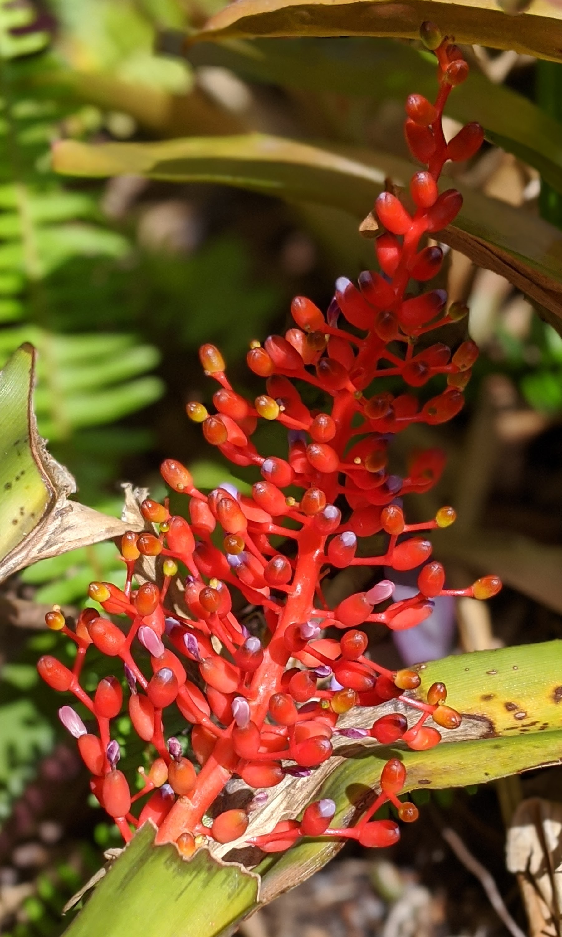 00100lrportrait_00100_burst20200704094012607_cover