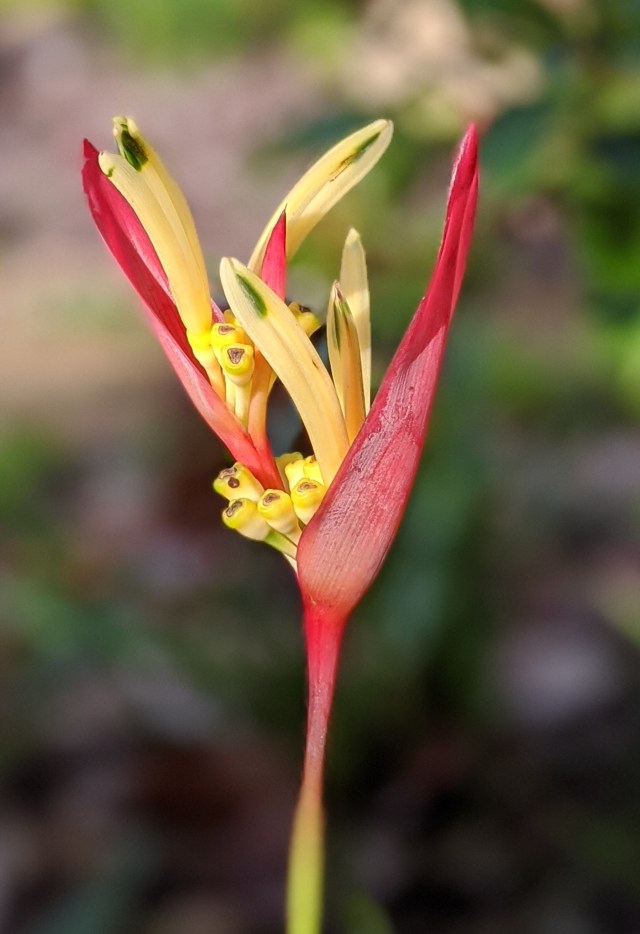 00100lrportrait_00100_burst20200711084137844_cover