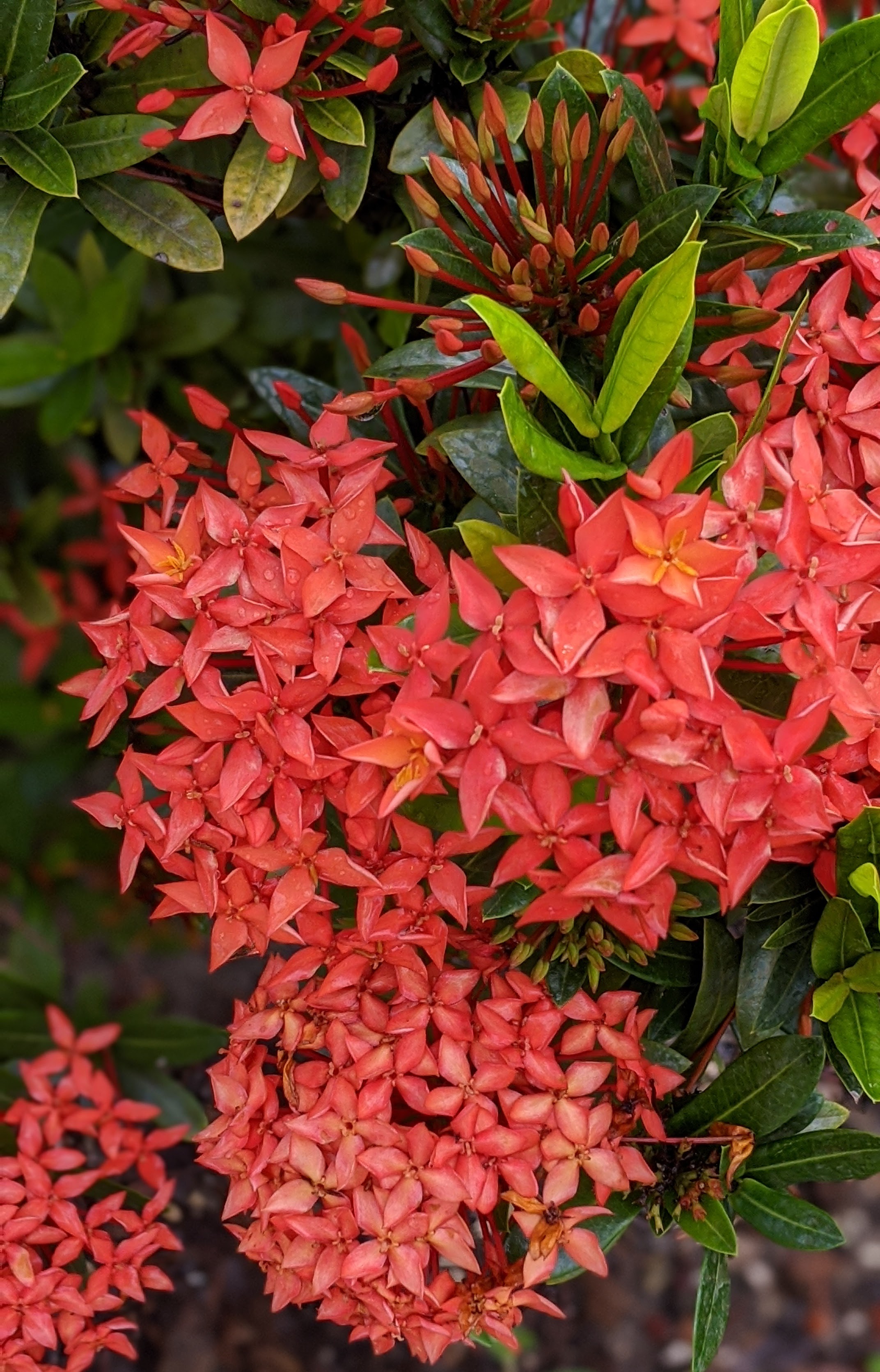 00100lrportrait_00100_burst20200718085716048_cover