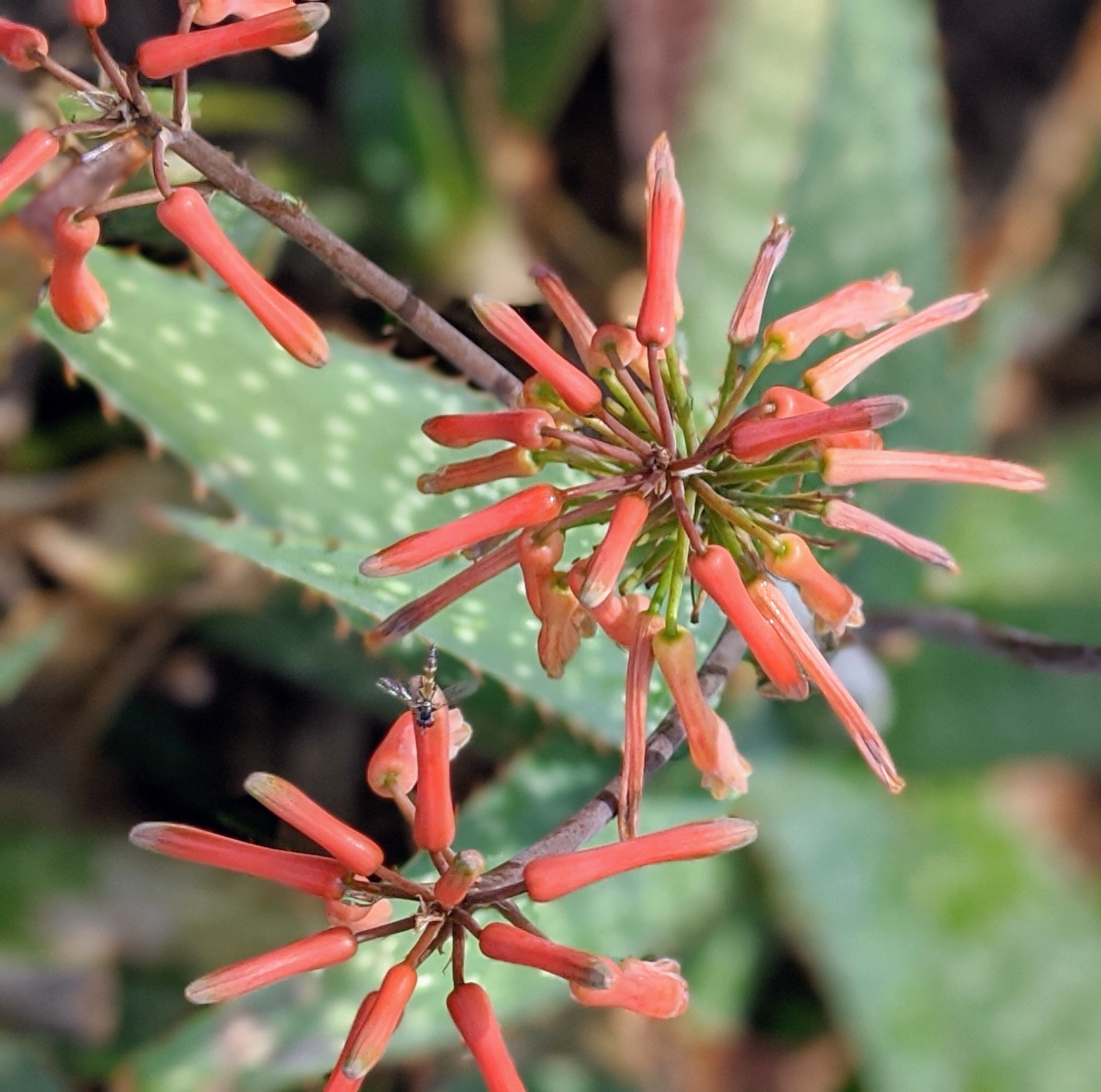 00100lrportrait_00100_burst20200718085733412_cover