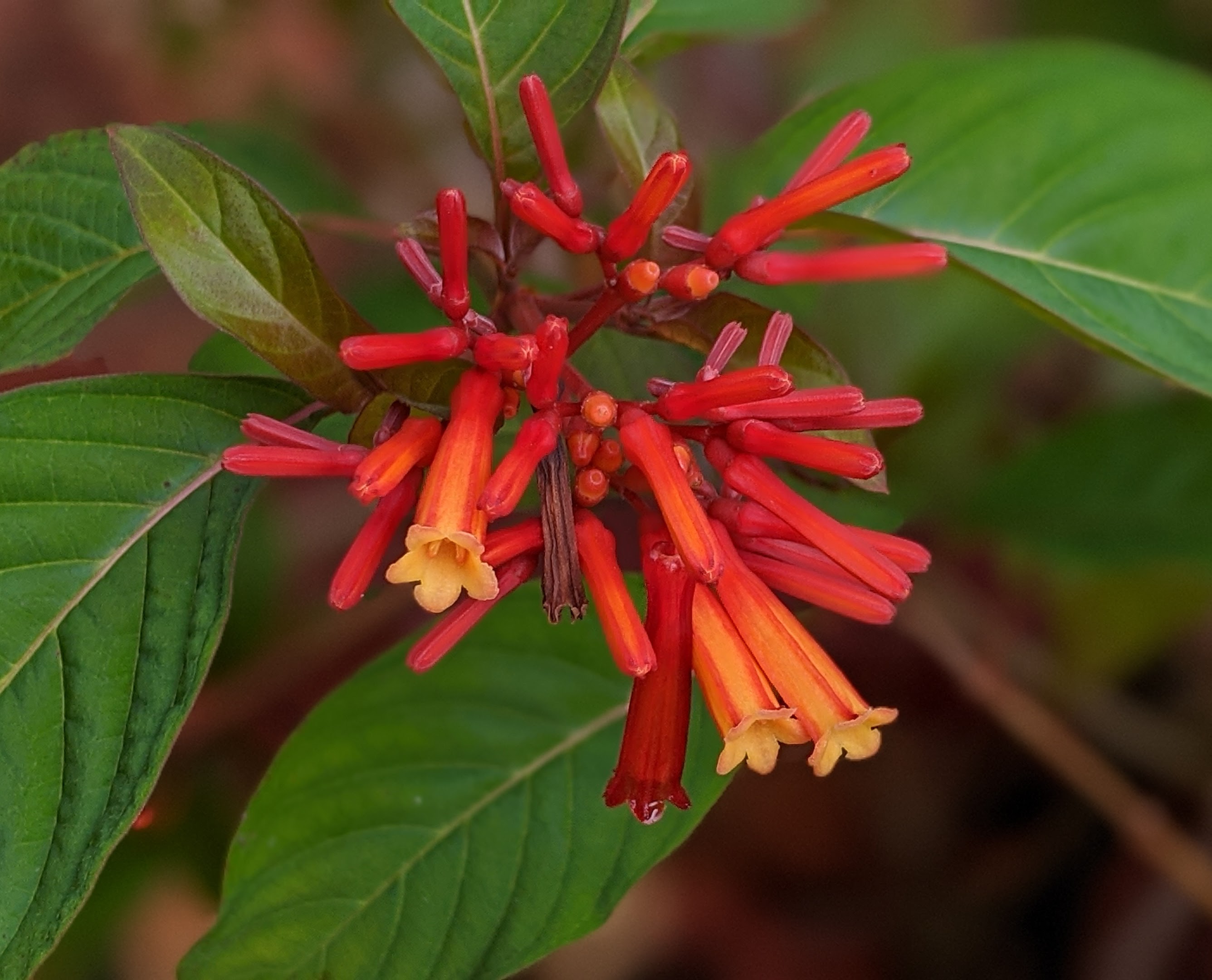 00100lrportrait_00100_burst20200718085858144_cover